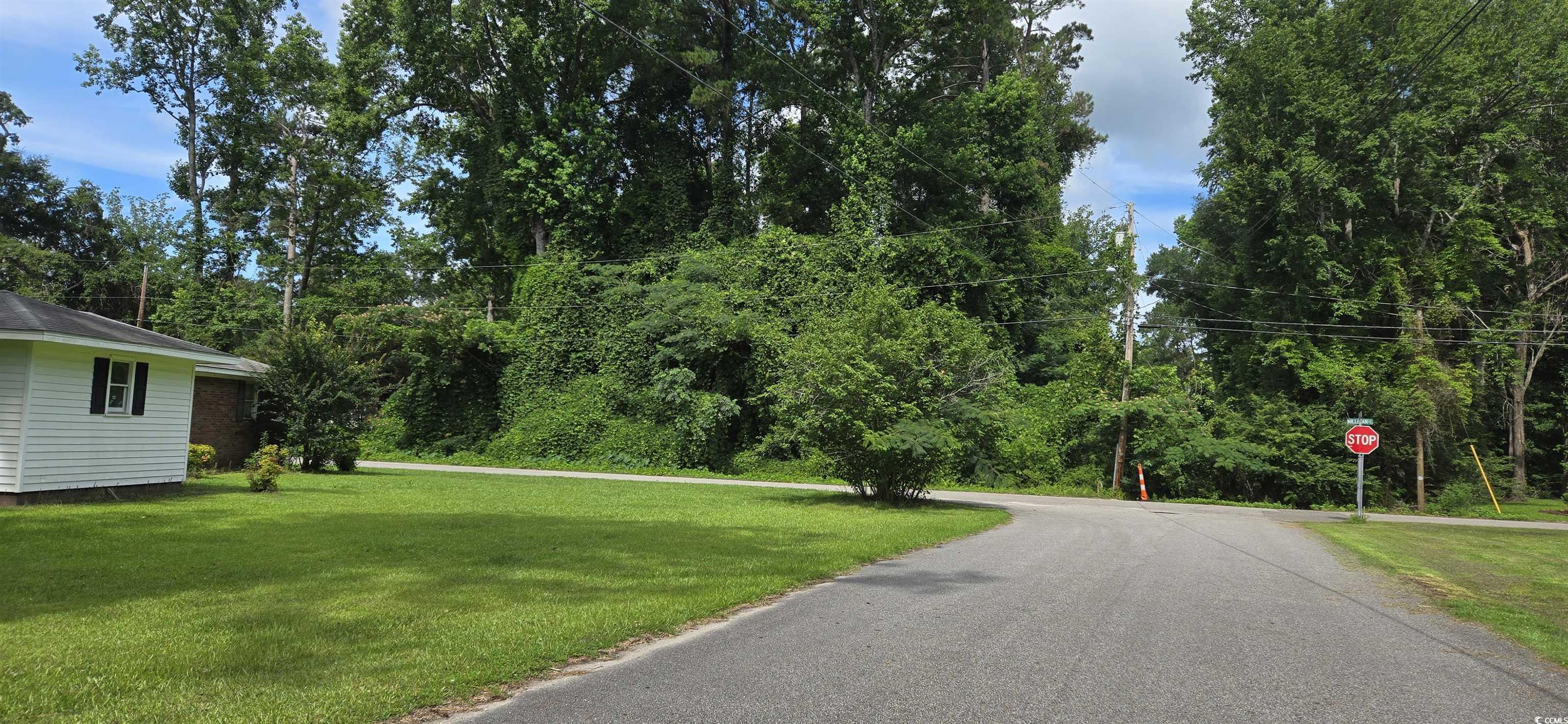 Milligan St., Loris, South Carolina image 7