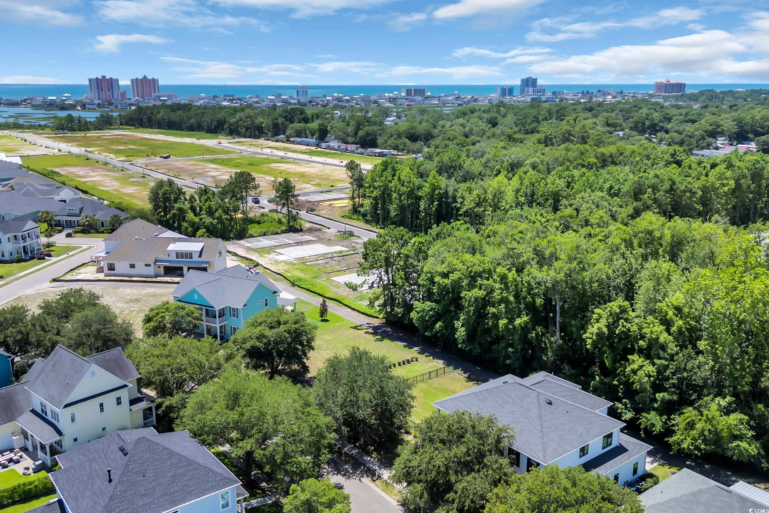 1320 James Island Ave., North Myrtle Beach, South Carolina image 38
