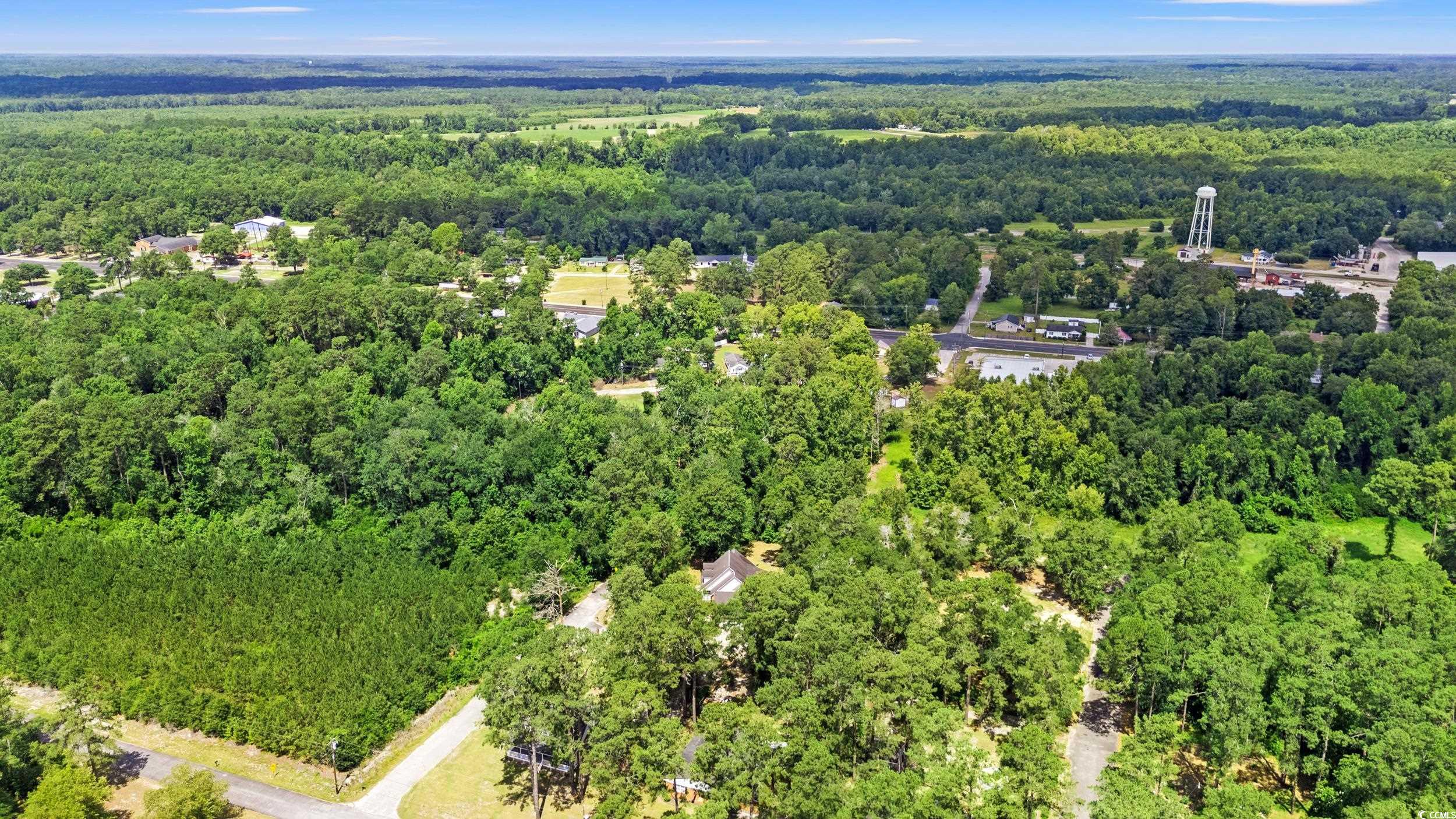 301 Sophronia St., Nichols, South Carolina image 35