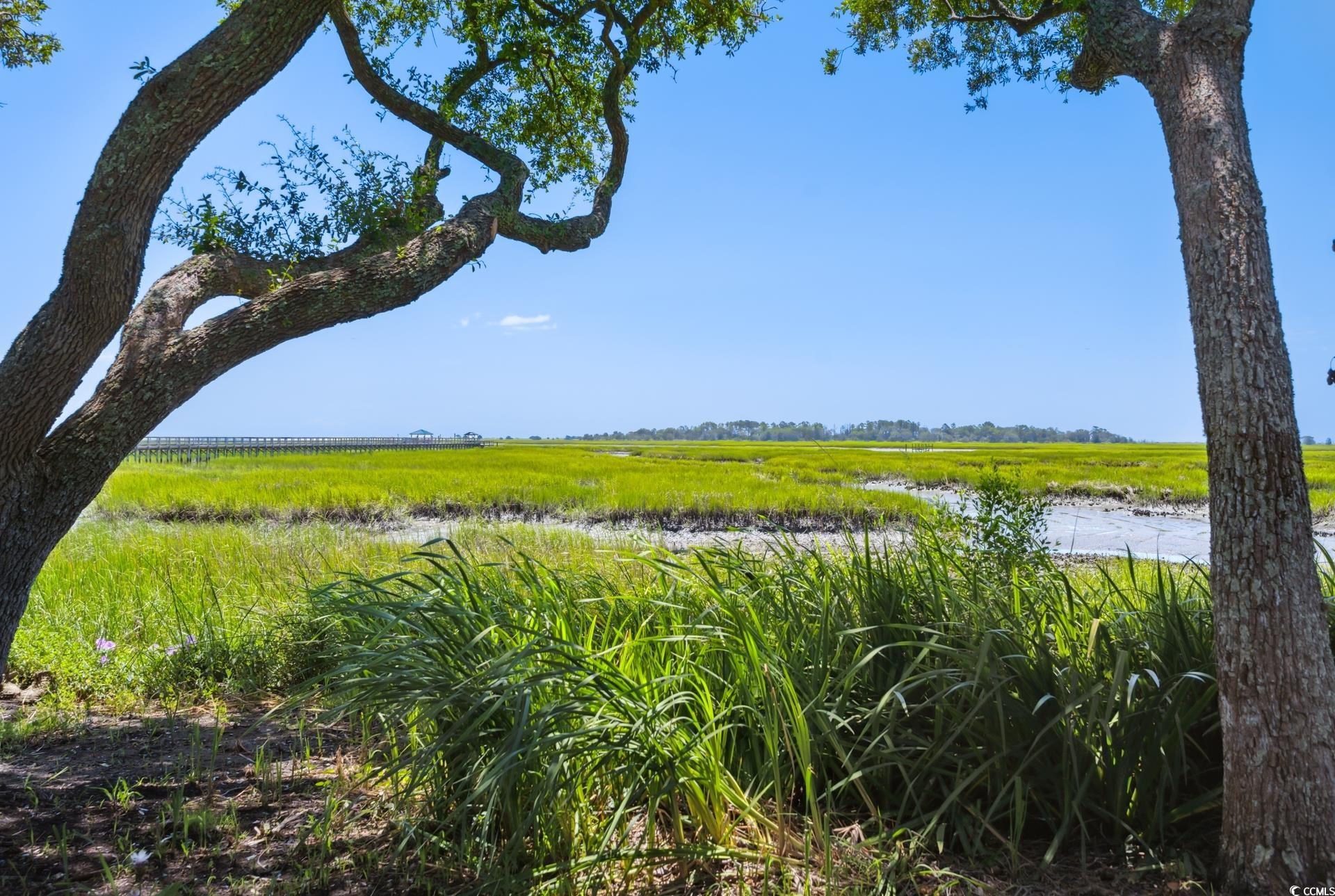 5137 Highway 17 Business #1F, Murrells Inlet, South Carolina image 25