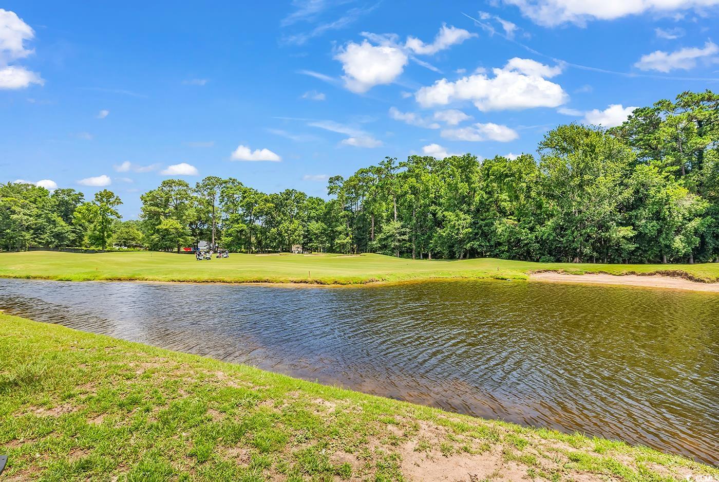 4436 Lady Banks Ln. #B2, Murrells Inlet, South Carolina image 29