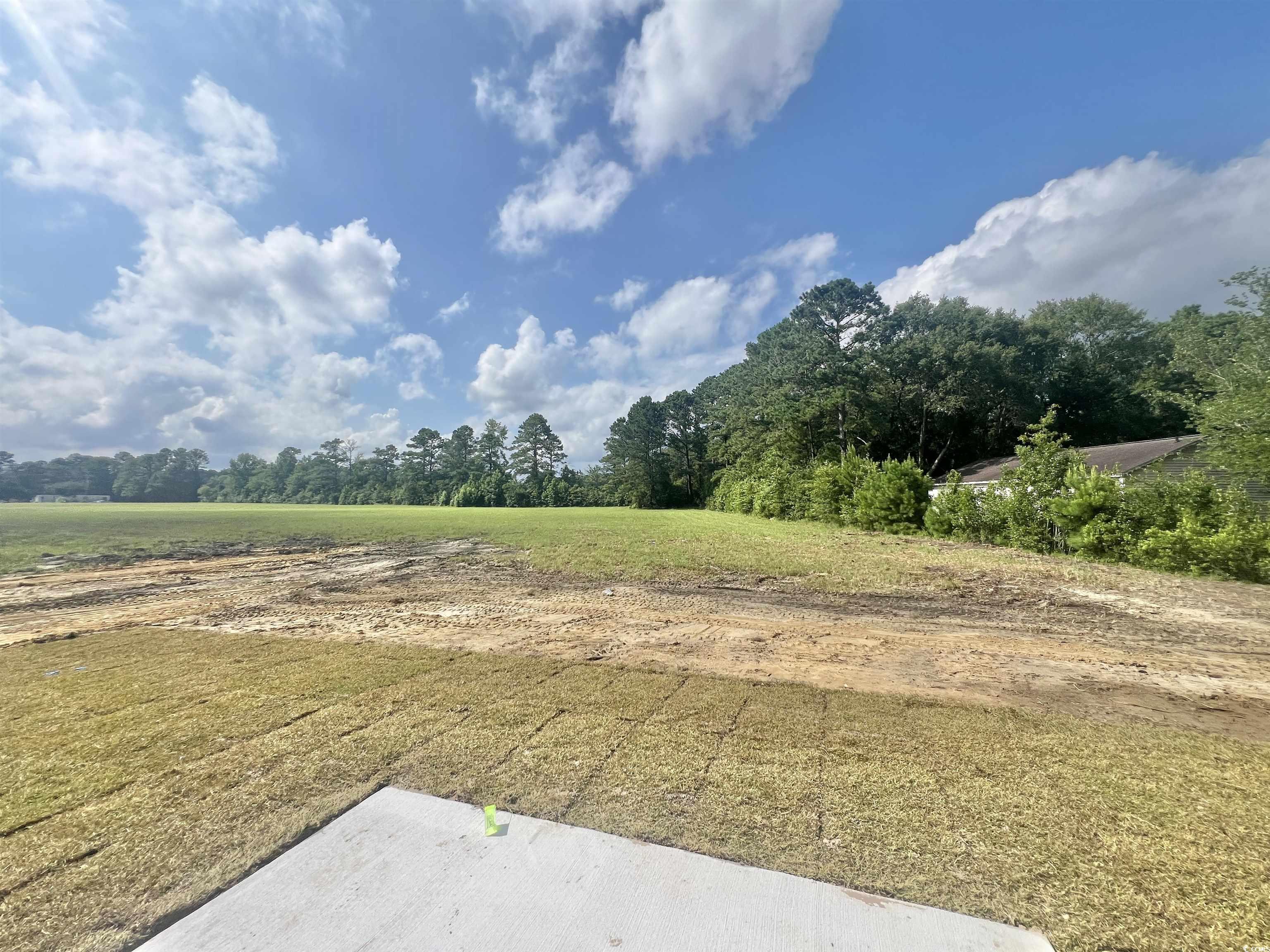 201 Norris Ln, Loris, South Carolina image 2