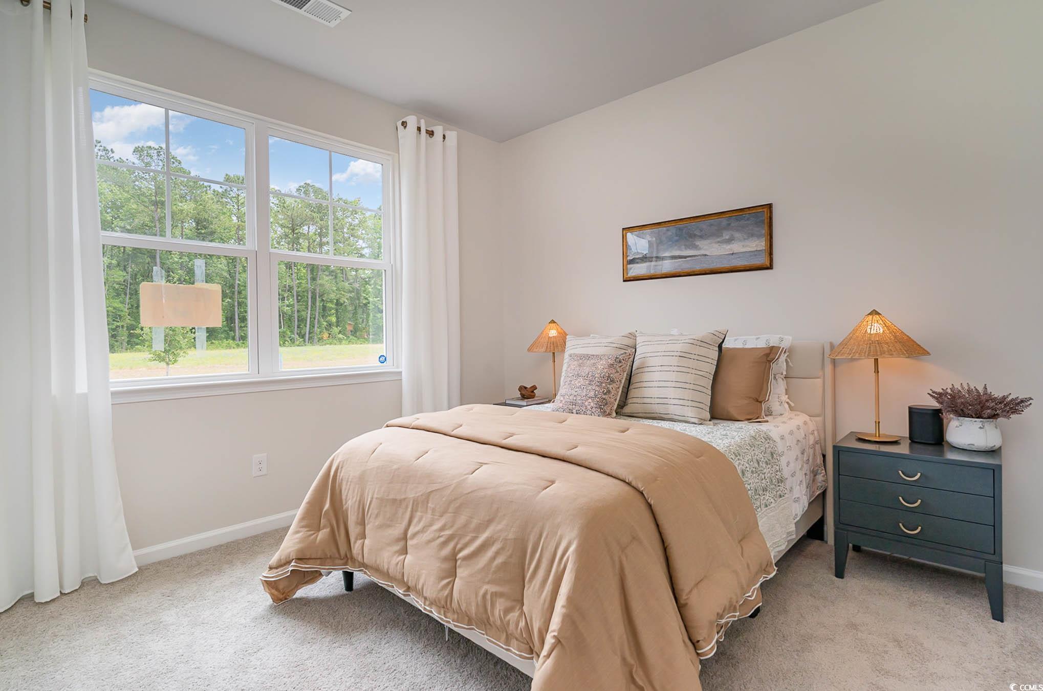 2803 Riverboat Way, Conway, South Carolina image 18
