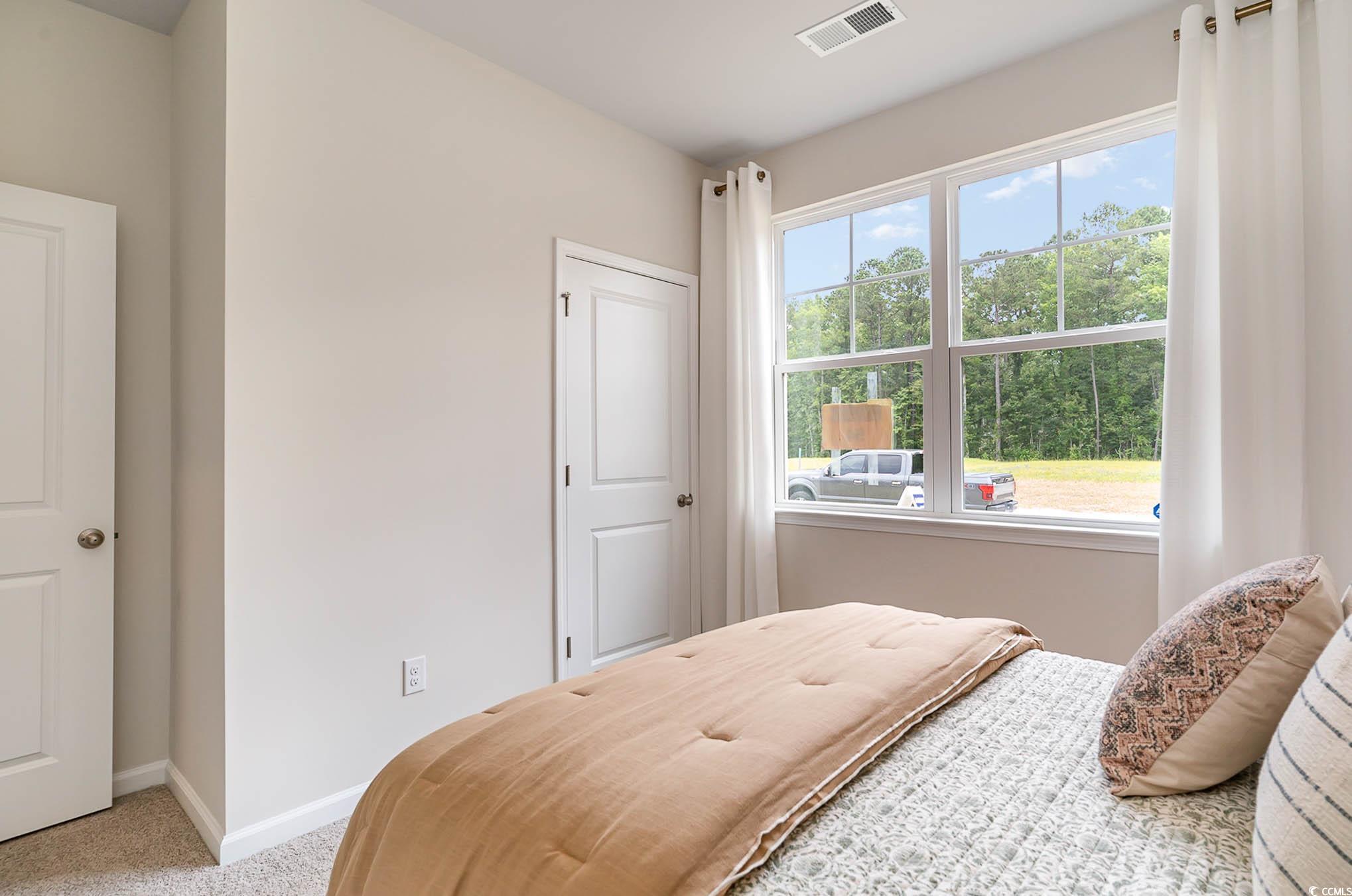 2803 Riverboat Way, Conway, South Carolina image 19