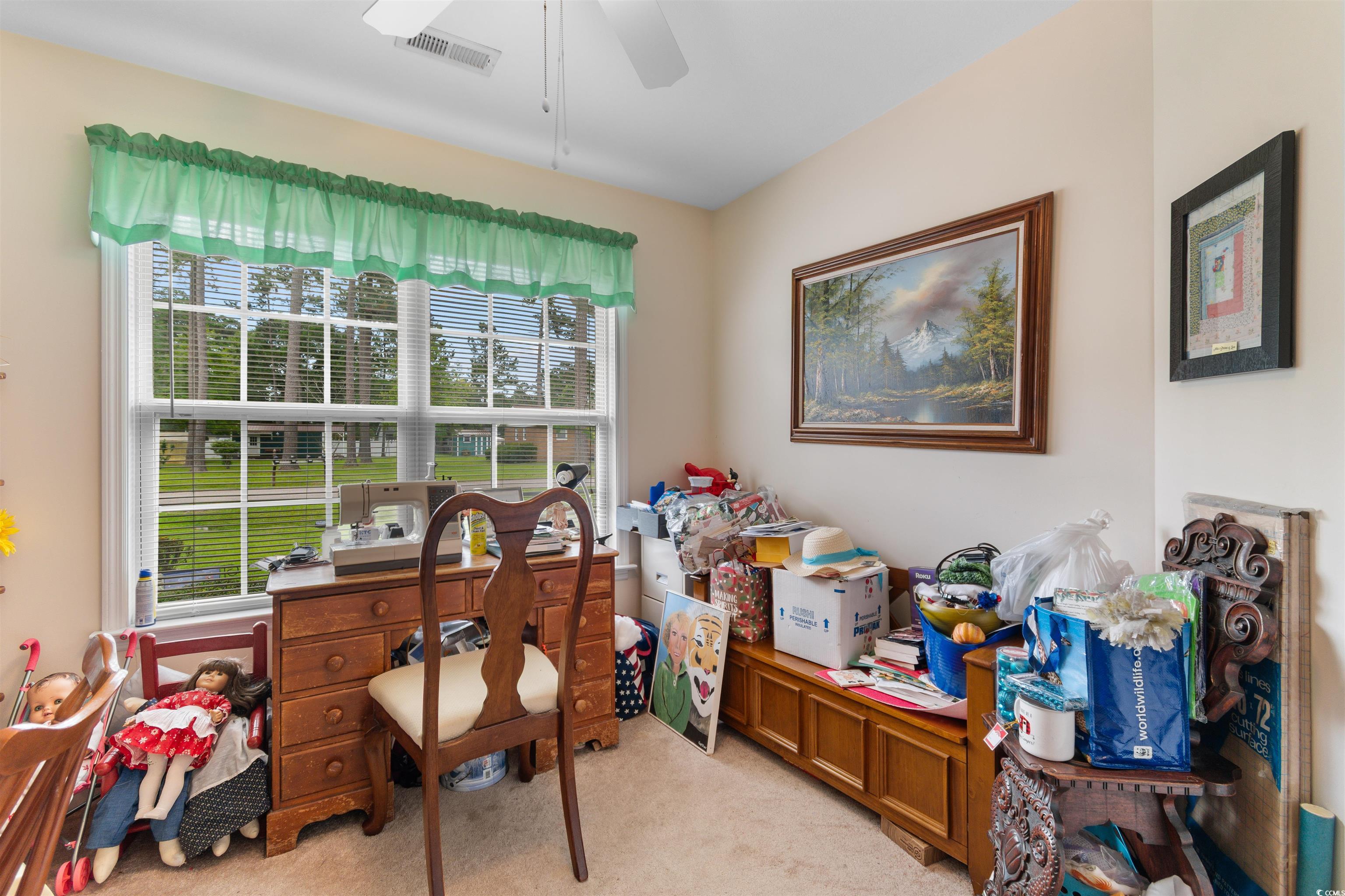 1206 Anderson St., Conway, South Carolina image 24