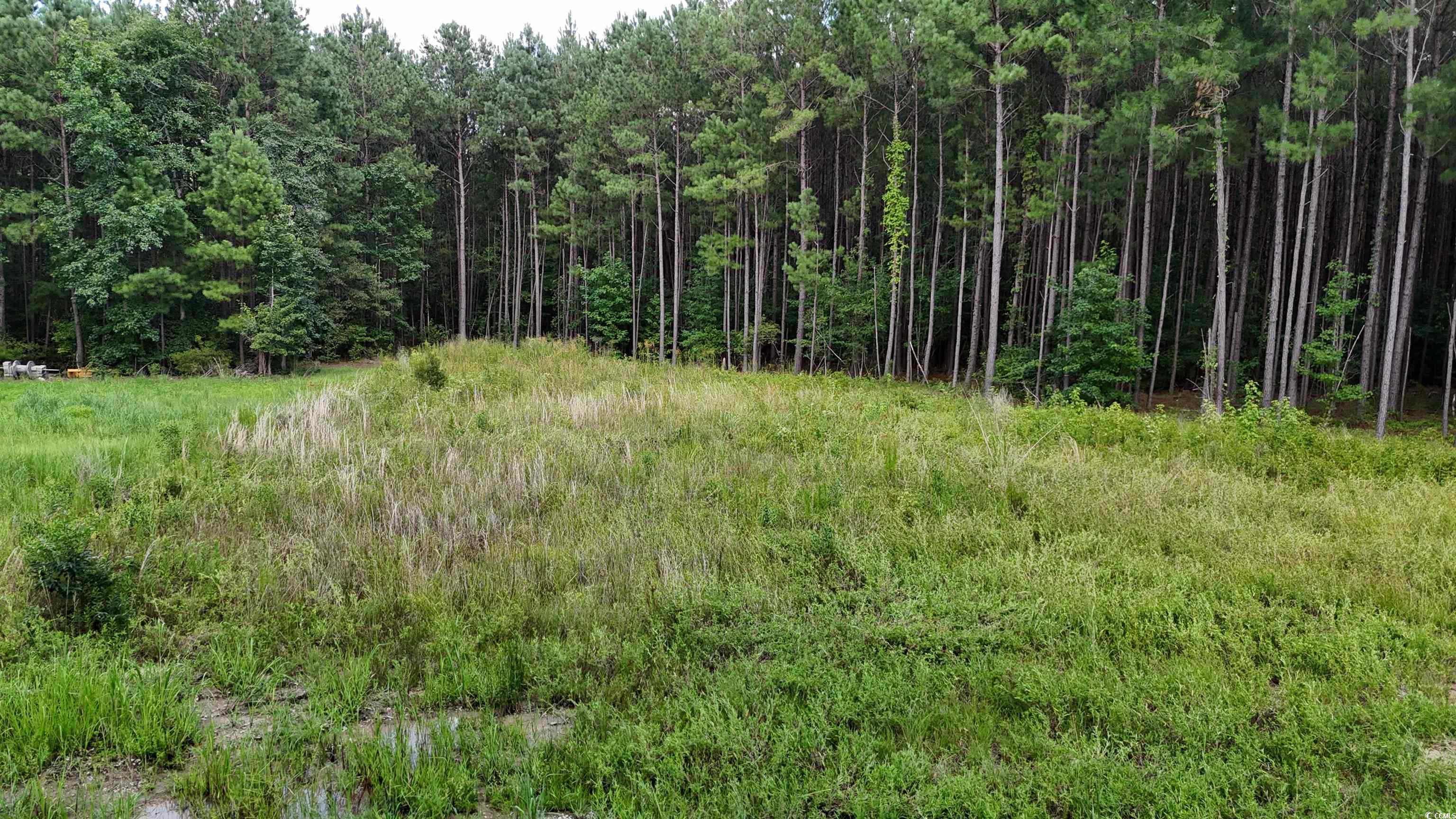 TBD Lot 4-C Dossies Rd., Conway, South Carolina image 10