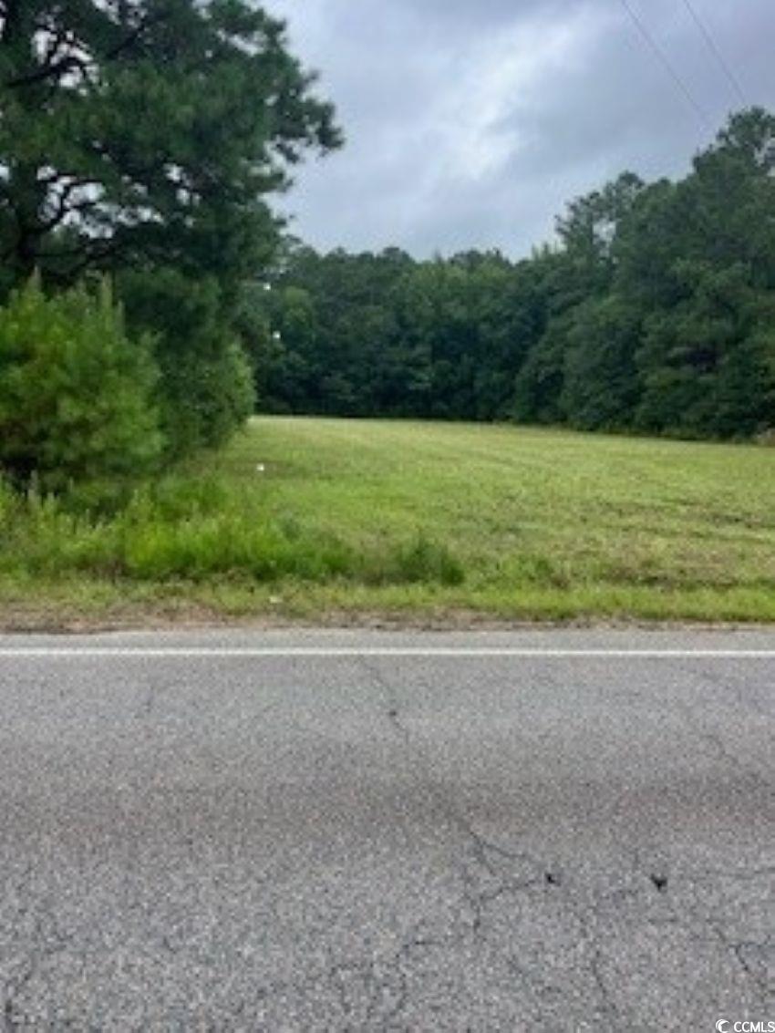 LOTS 3 & 4 Anderson Bridge Rd Coward, SC 29530