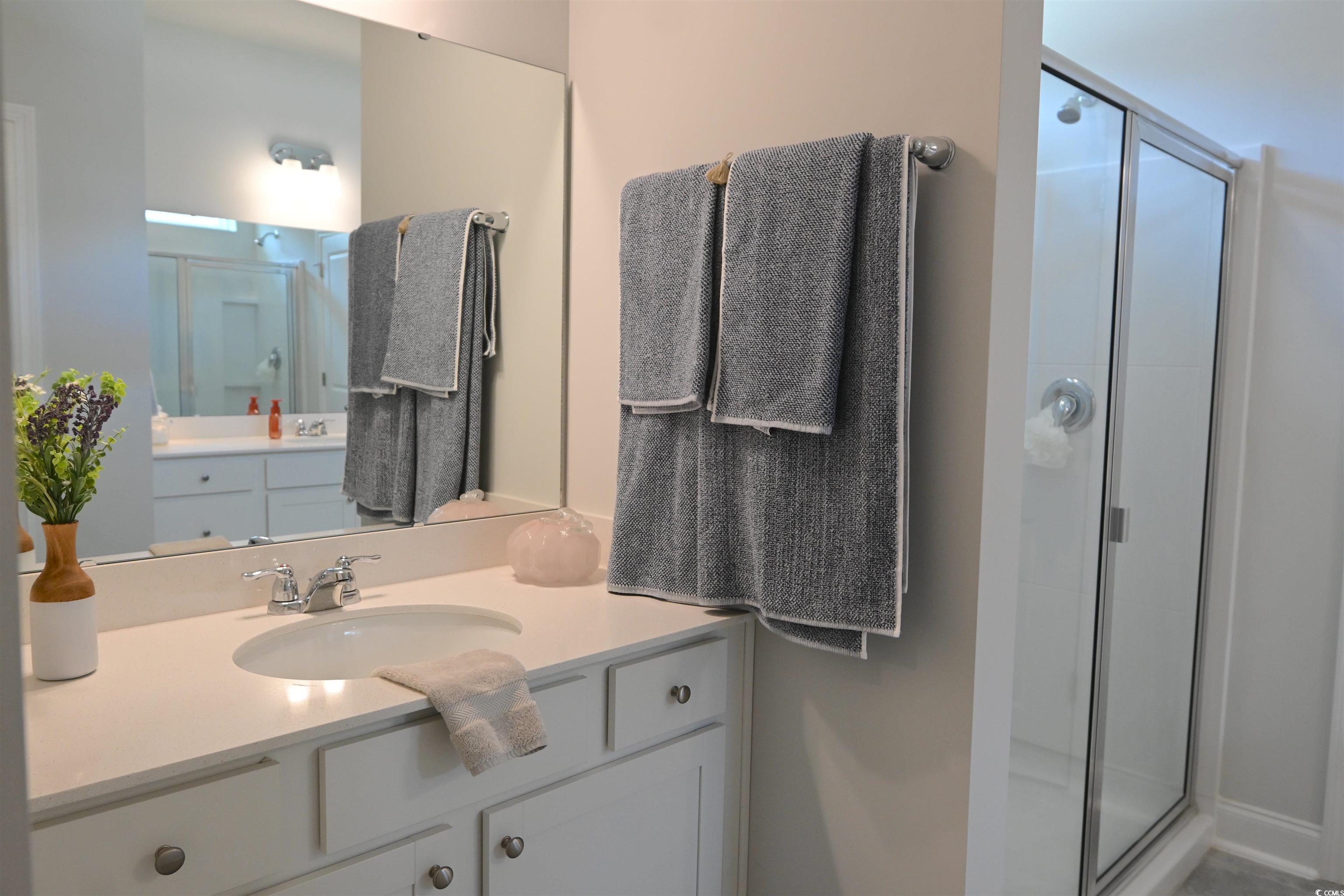2464 Campton Loop, Conway, South Carolina image 20