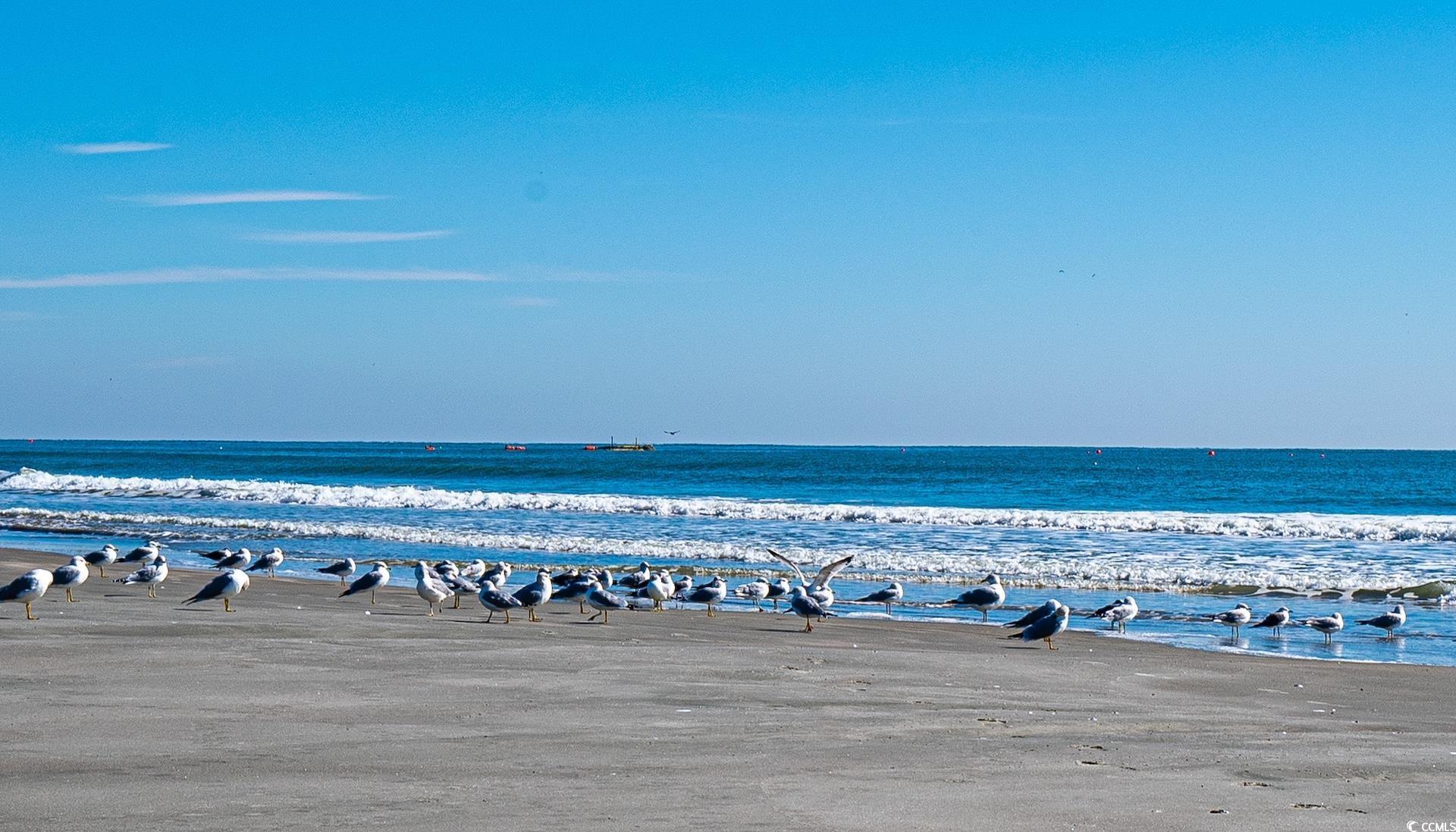 1005 28th Ave. S, North Myrtle Beach, South Carolina image 31