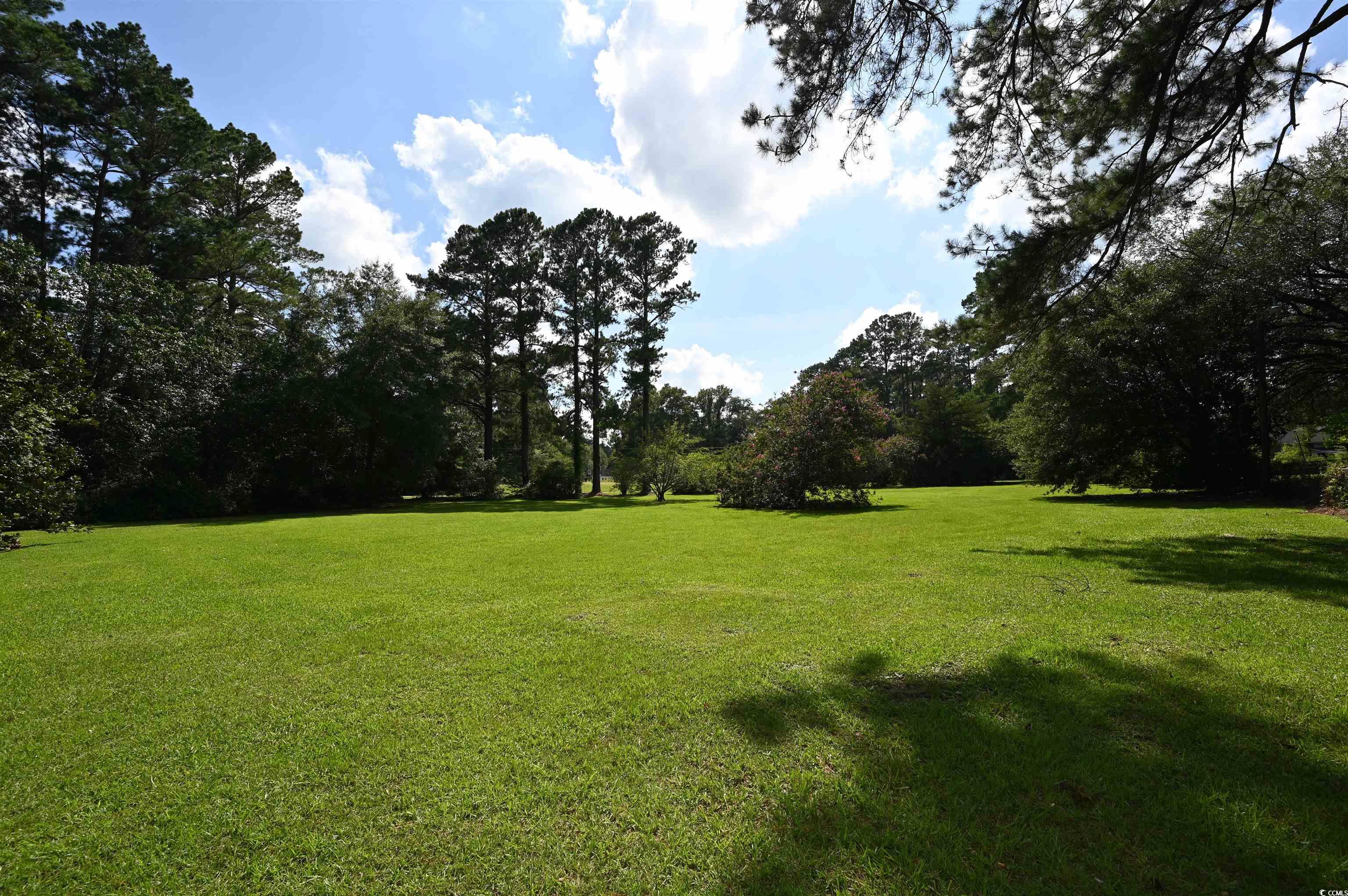 221 Pine St., Latta, South Carolina image 38