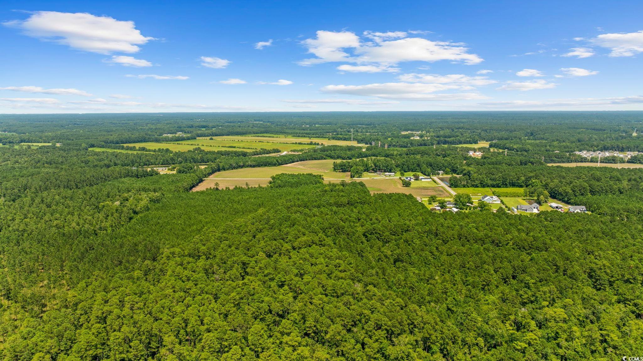 4800 Woodyard Bay Rd., Loris, South Carolina image 26