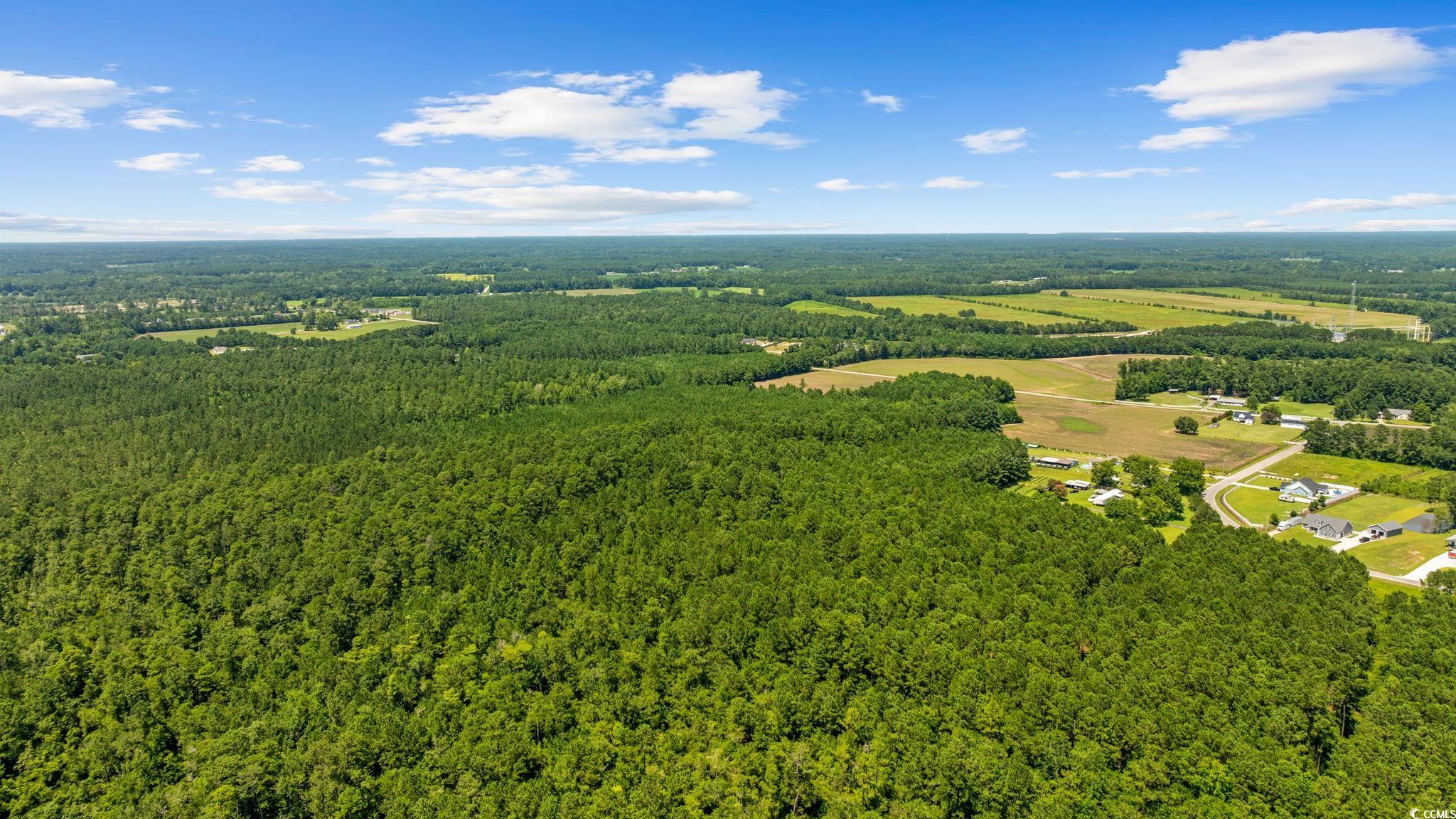 4800 Woodyard Bay Rd., Loris, South Carolina image 27
