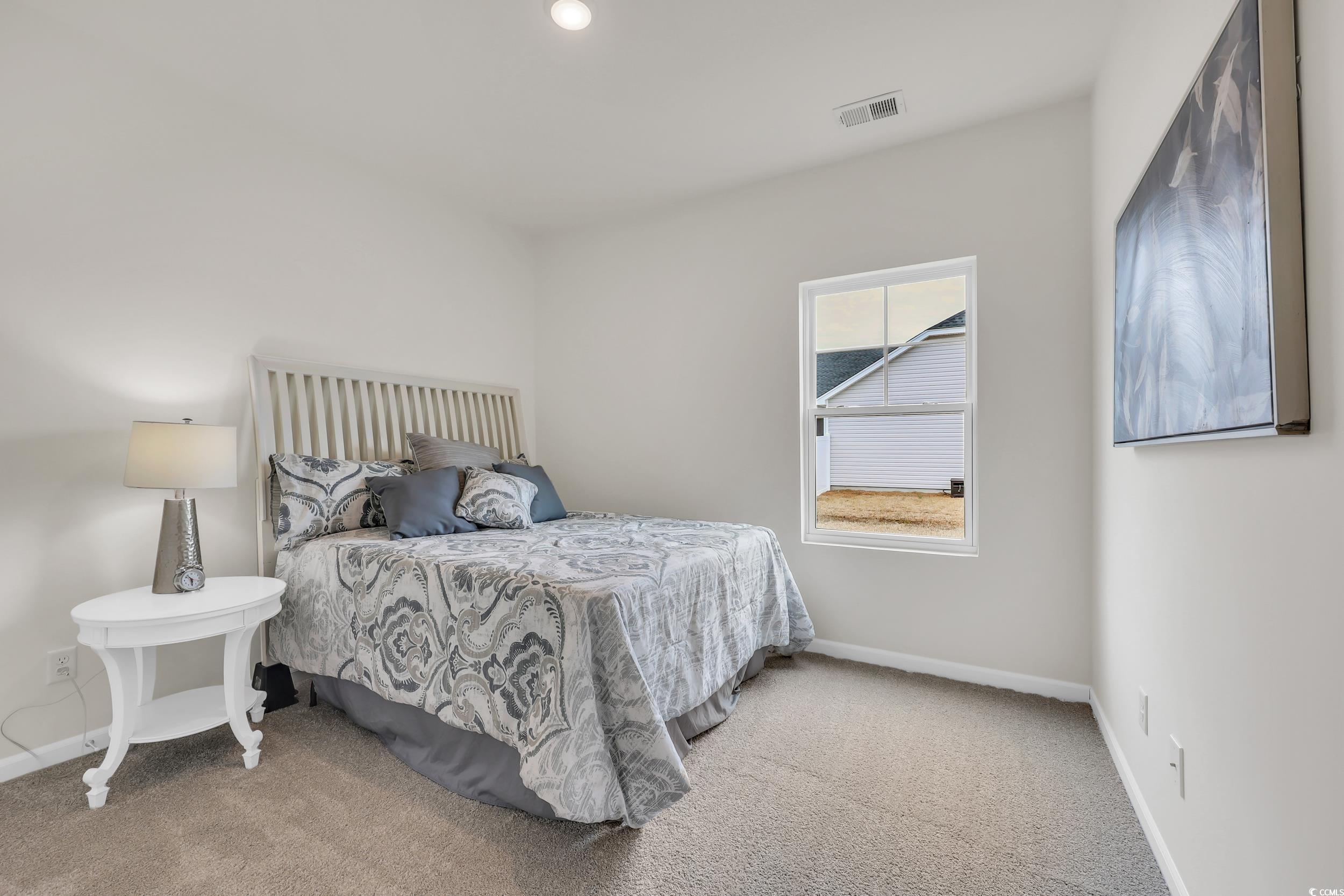 228 Palmetto Sand Loop, Conway, South Carolina image 18