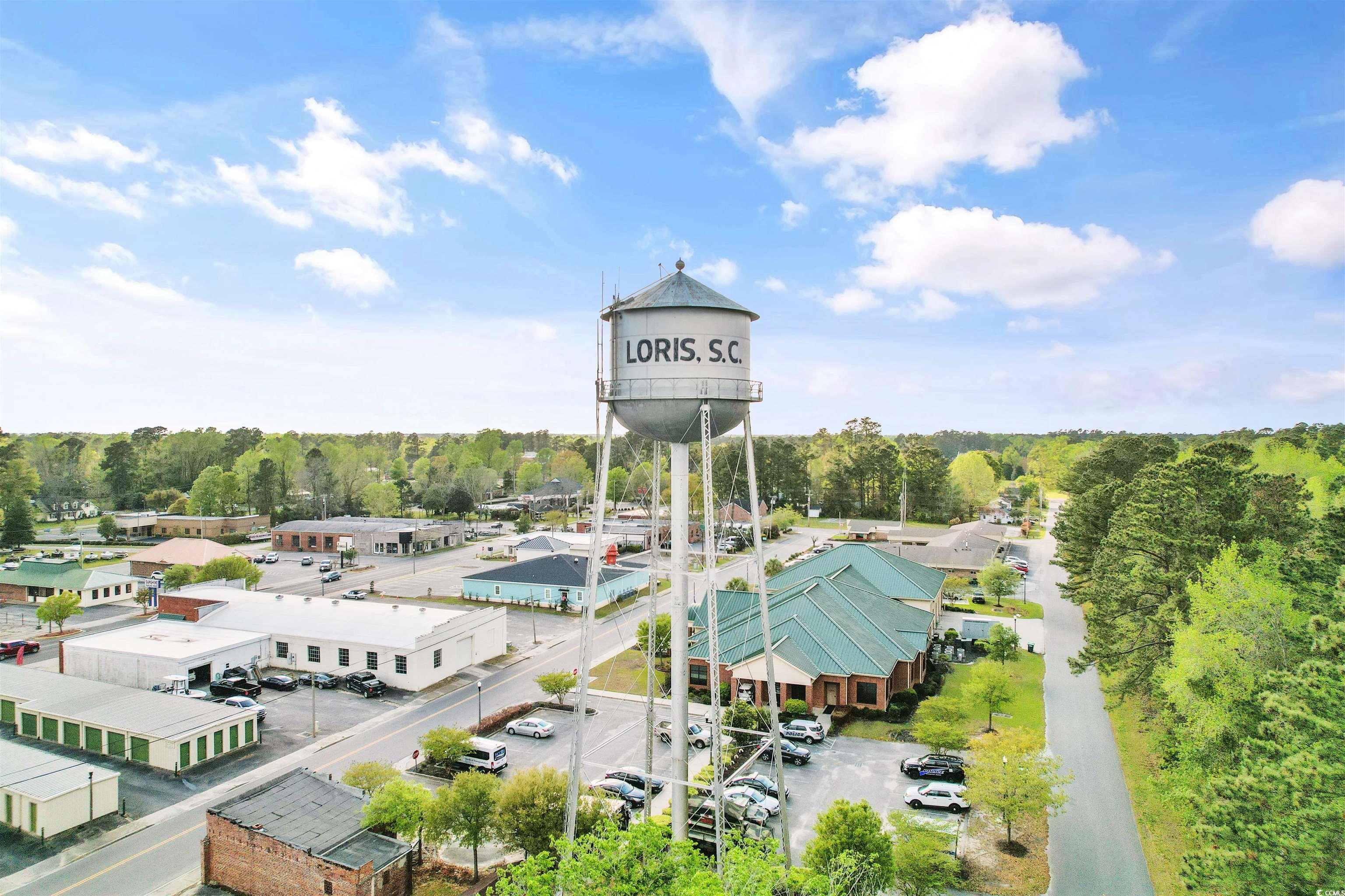 TBD Hwy 9, Loris, South Carolina image 18