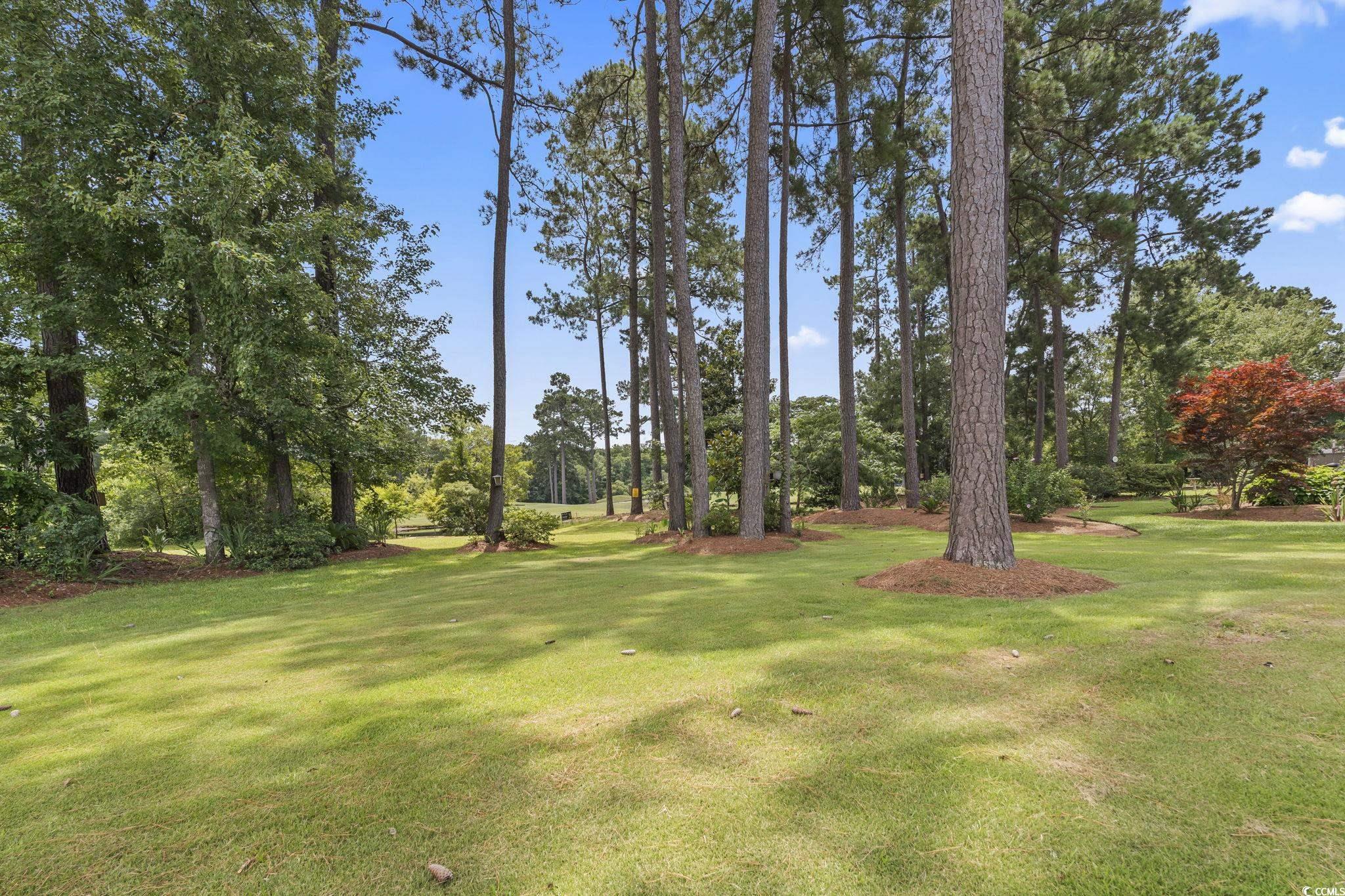 603 Bucks Trail, Longs, South Carolina image 30