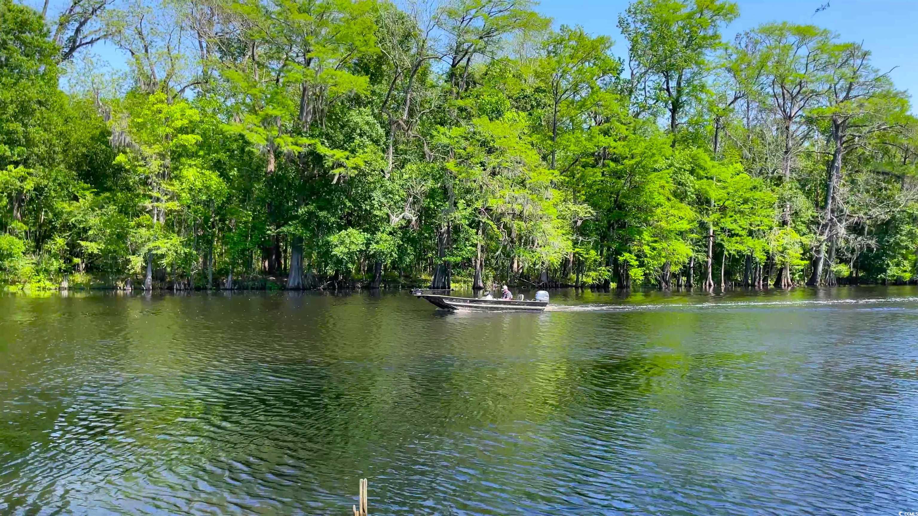 7512 Highway 66, Loris, South Carolina image 37
