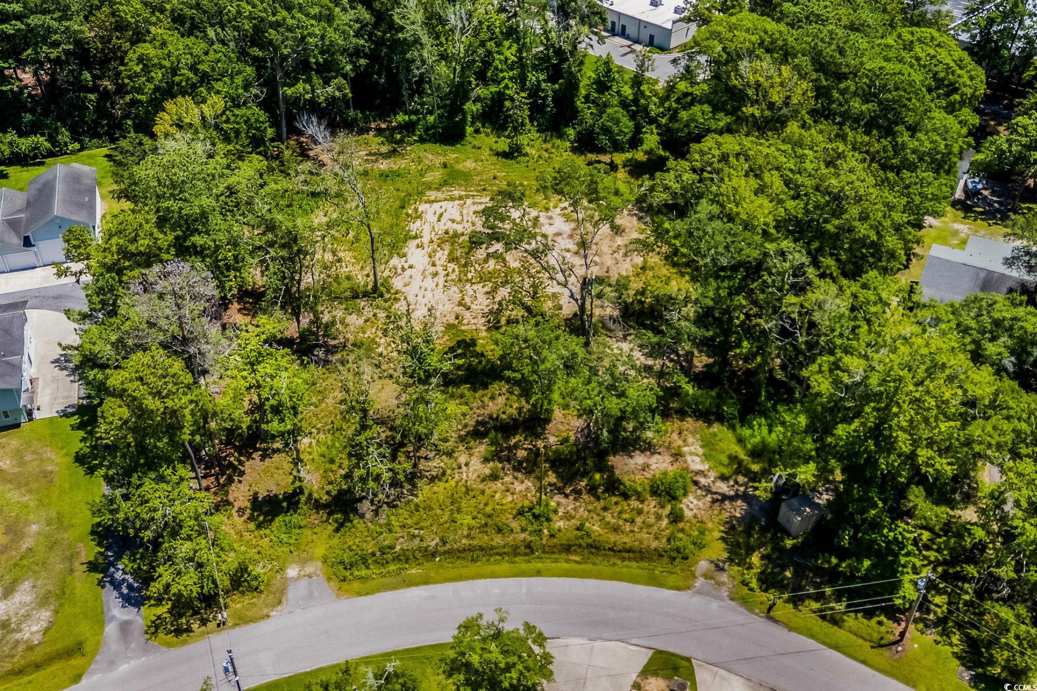 11051 Lee Circle, Murrells Inlet, South Carolina image 18