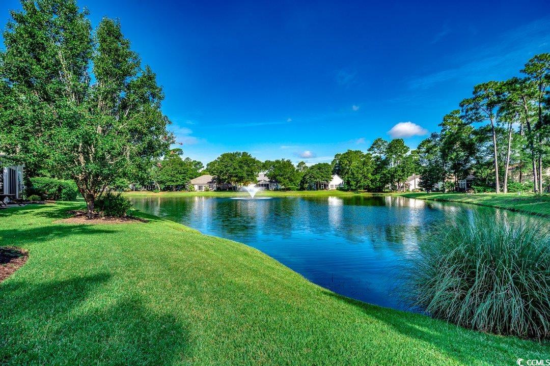 141 Wickham Ct., Pawleys Island, South Carolina image 32