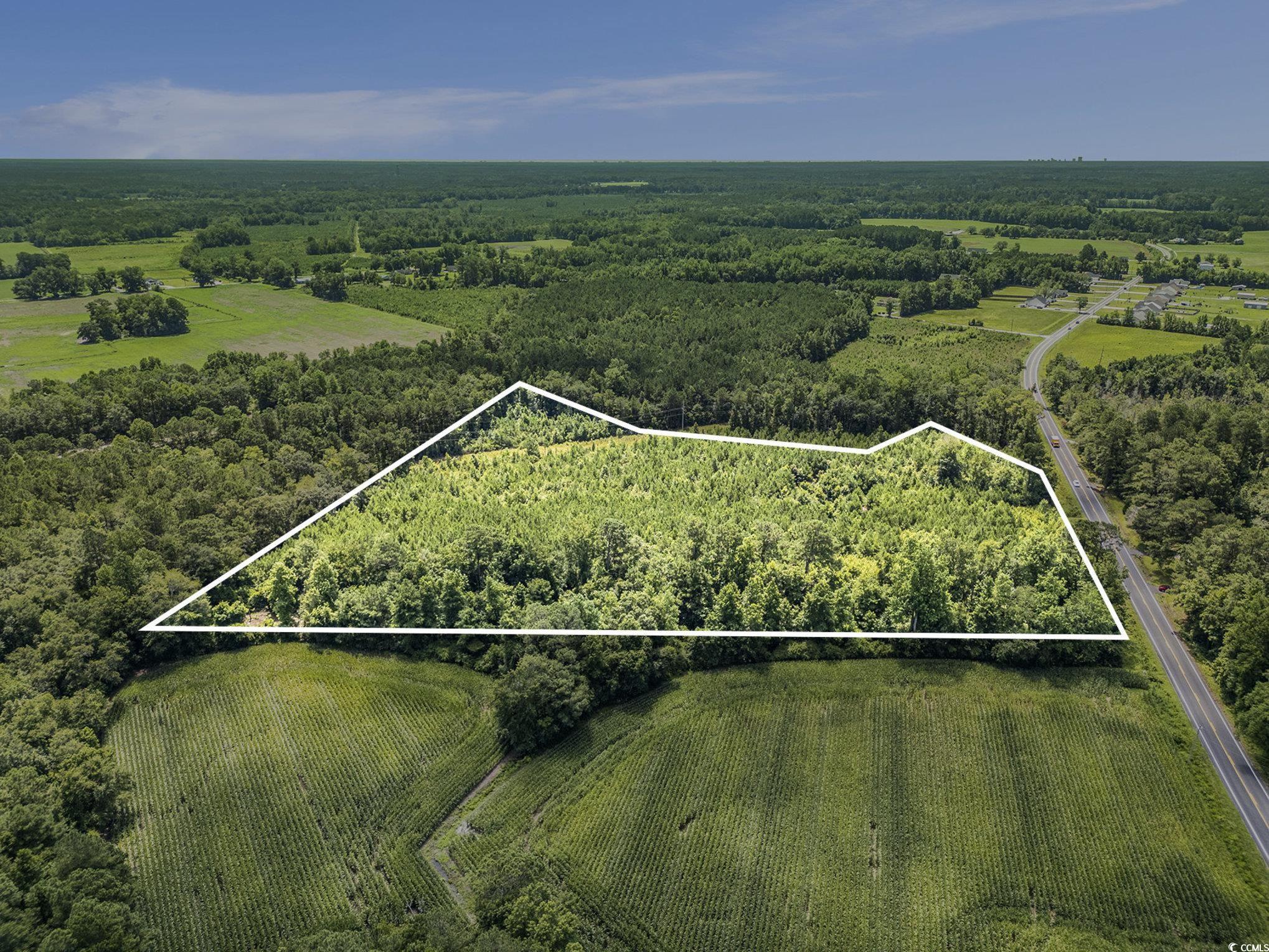 TBD Red Bluff Rd. Loris, SC 29569