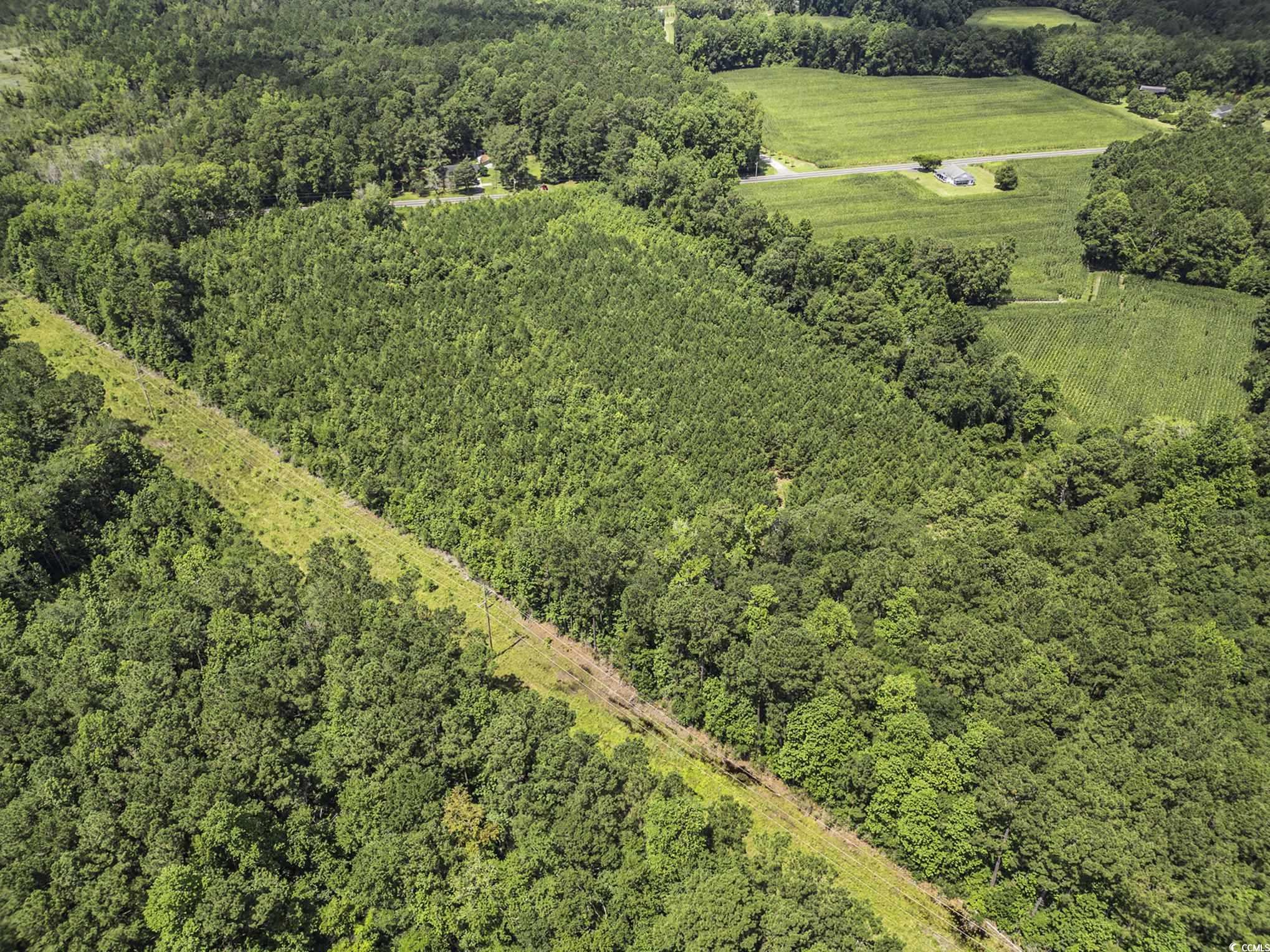 TBD Red Bluff Rd., Loris, South Carolina image 10