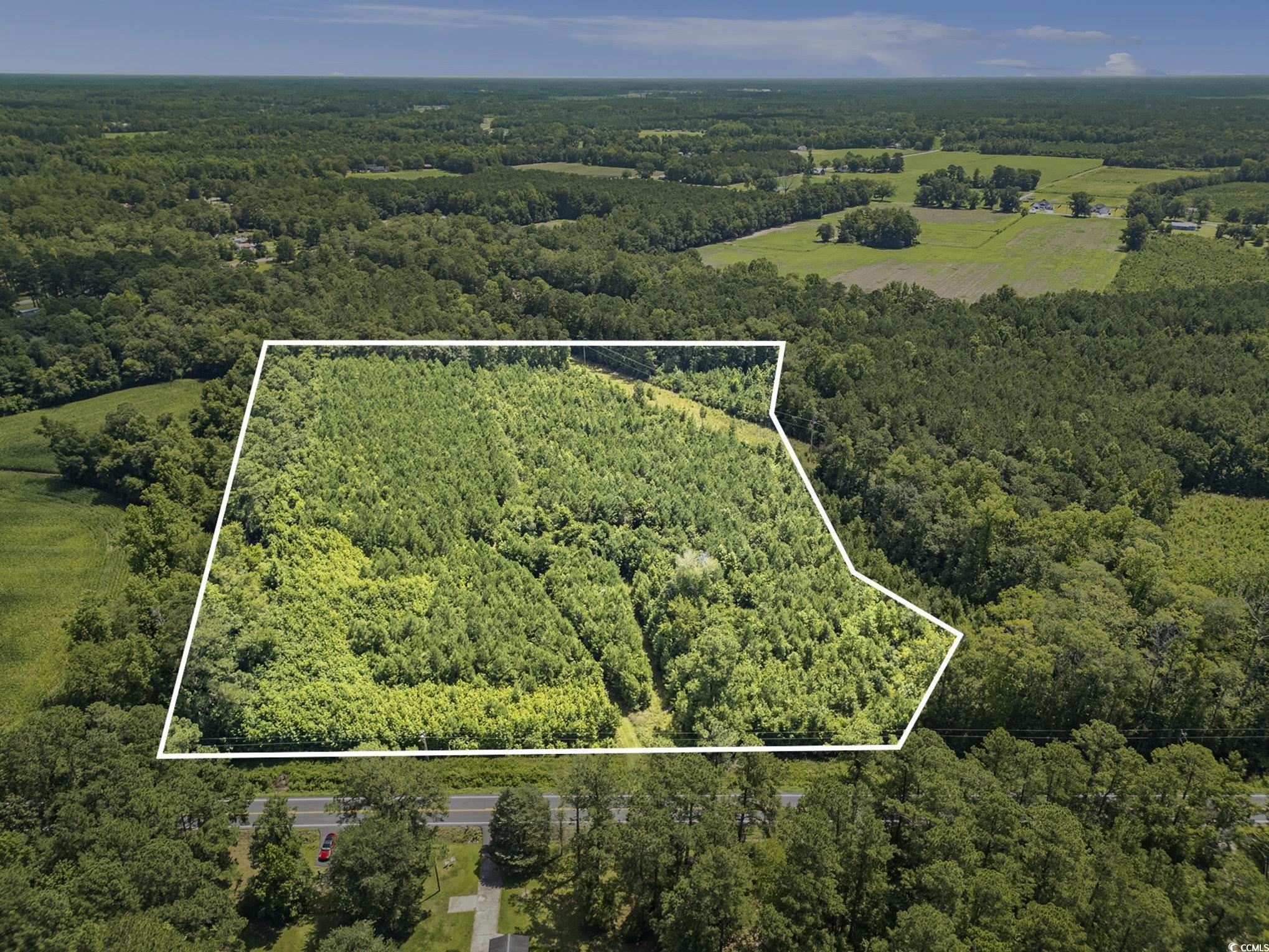 TBD Red Bluff Rd., Loris, South Carolina image 12