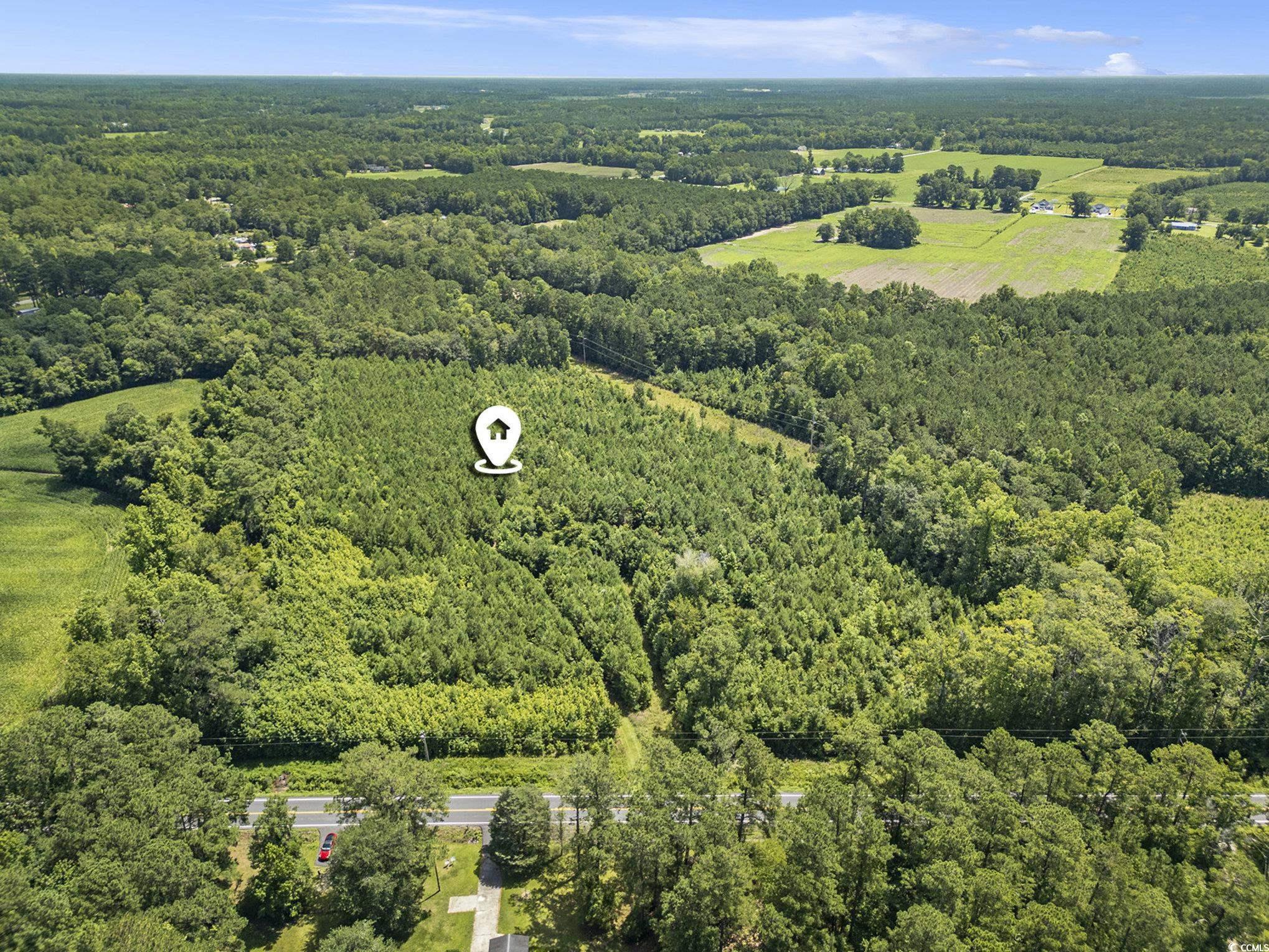 TBD Red Bluff Rd., Loris, South Carolina image 13