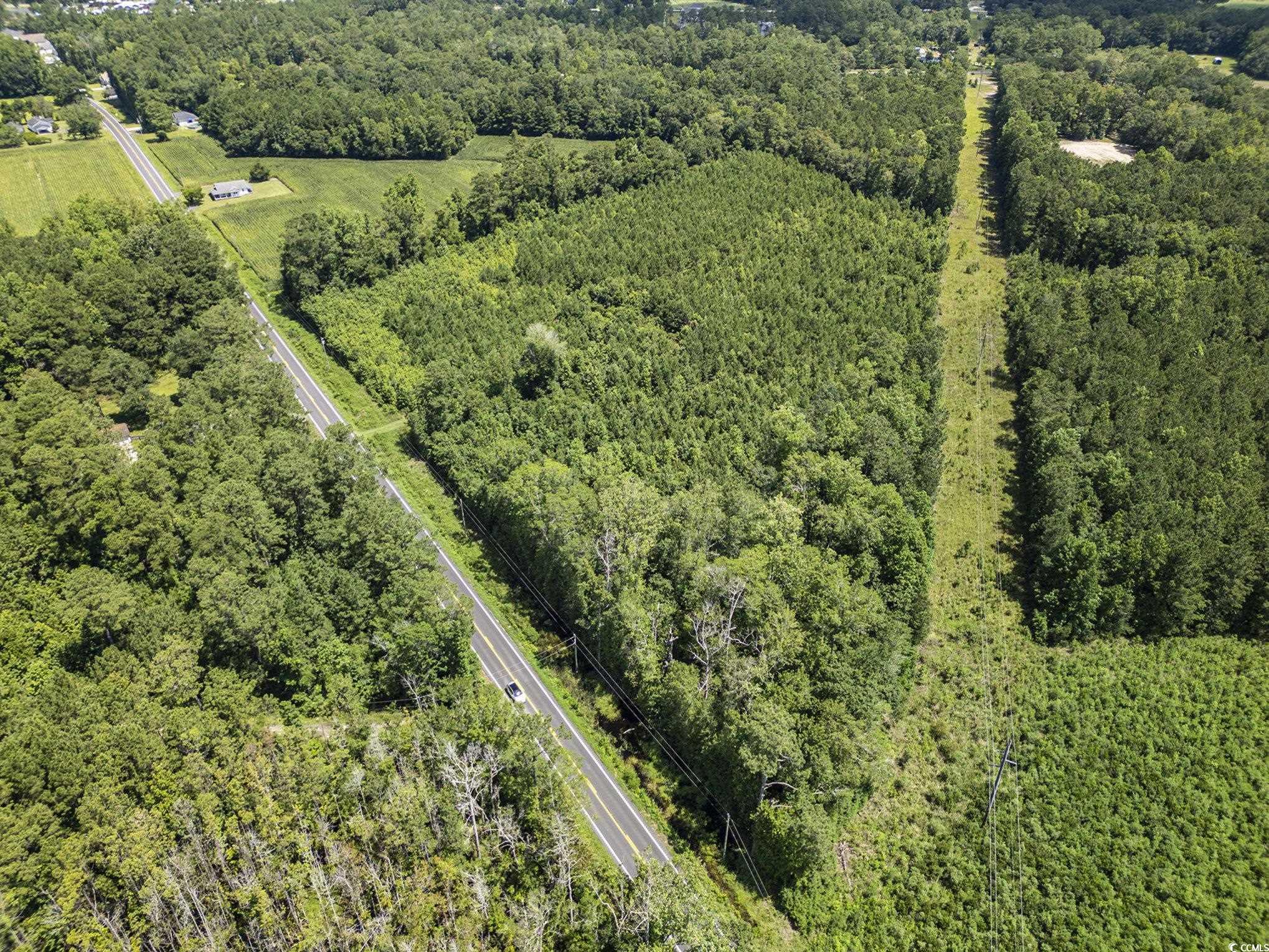 TBD Red Bluff Rd., Loris, South Carolina image 14