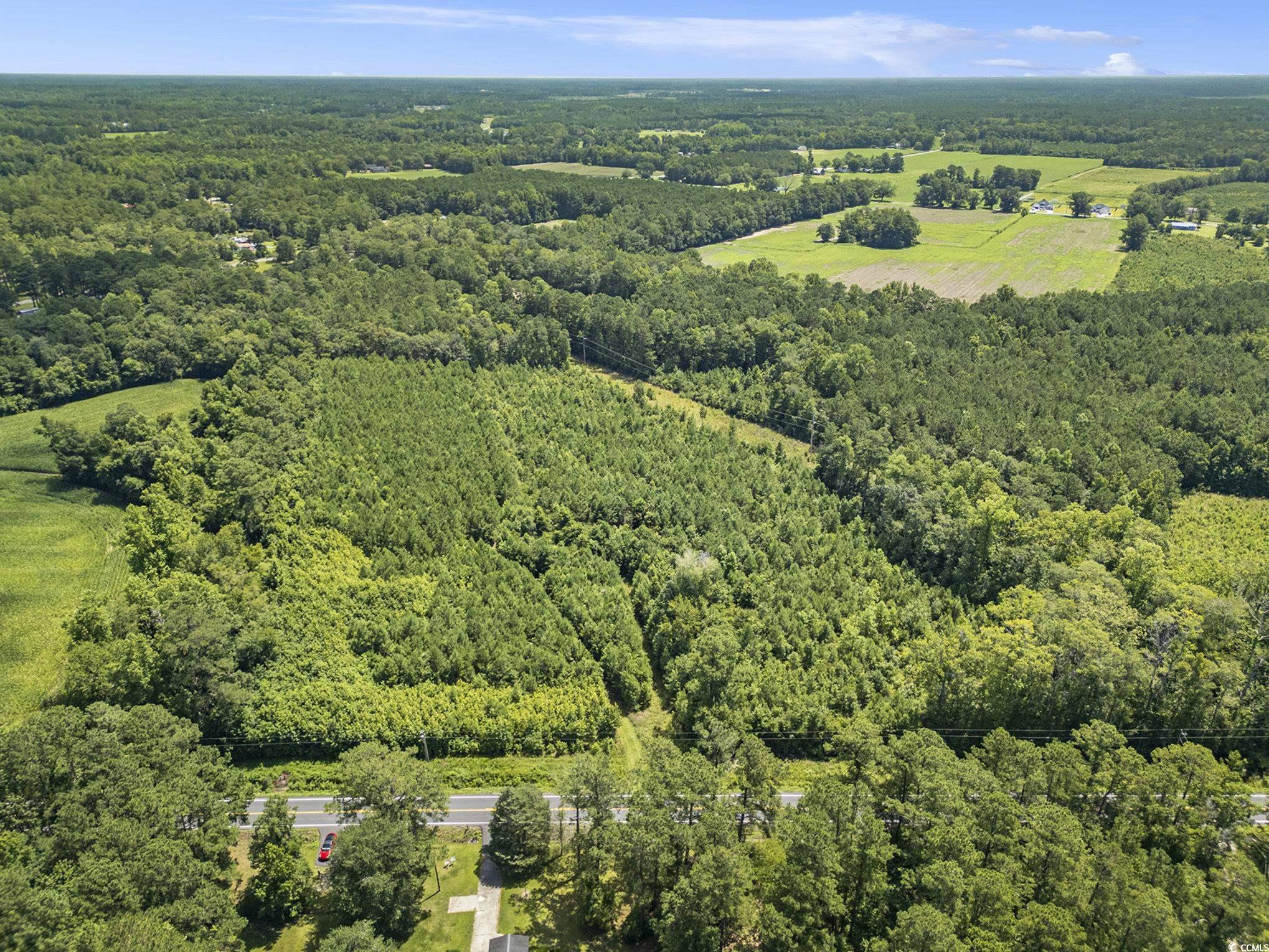 TBD Red Bluff Rd., Loris, South Carolina image 16