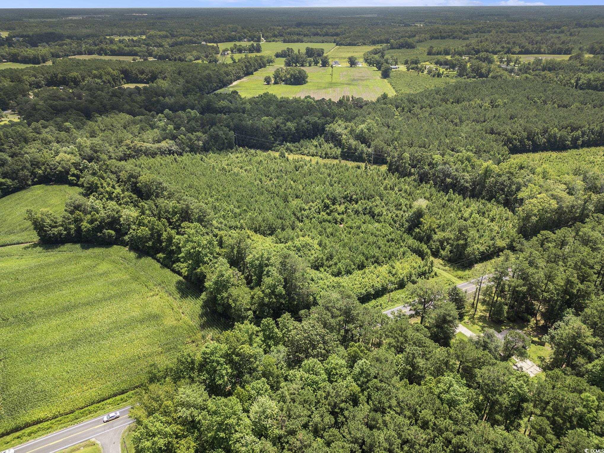TBD Red Bluff Rd., Loris, South Carolina image 3