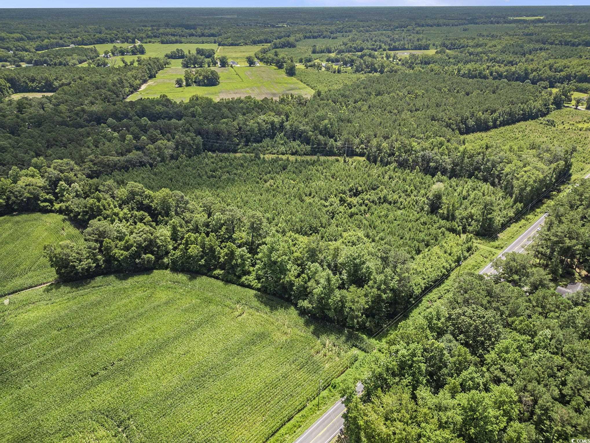 TBD Red Bluff Rd., Loris, South Carolina image 4