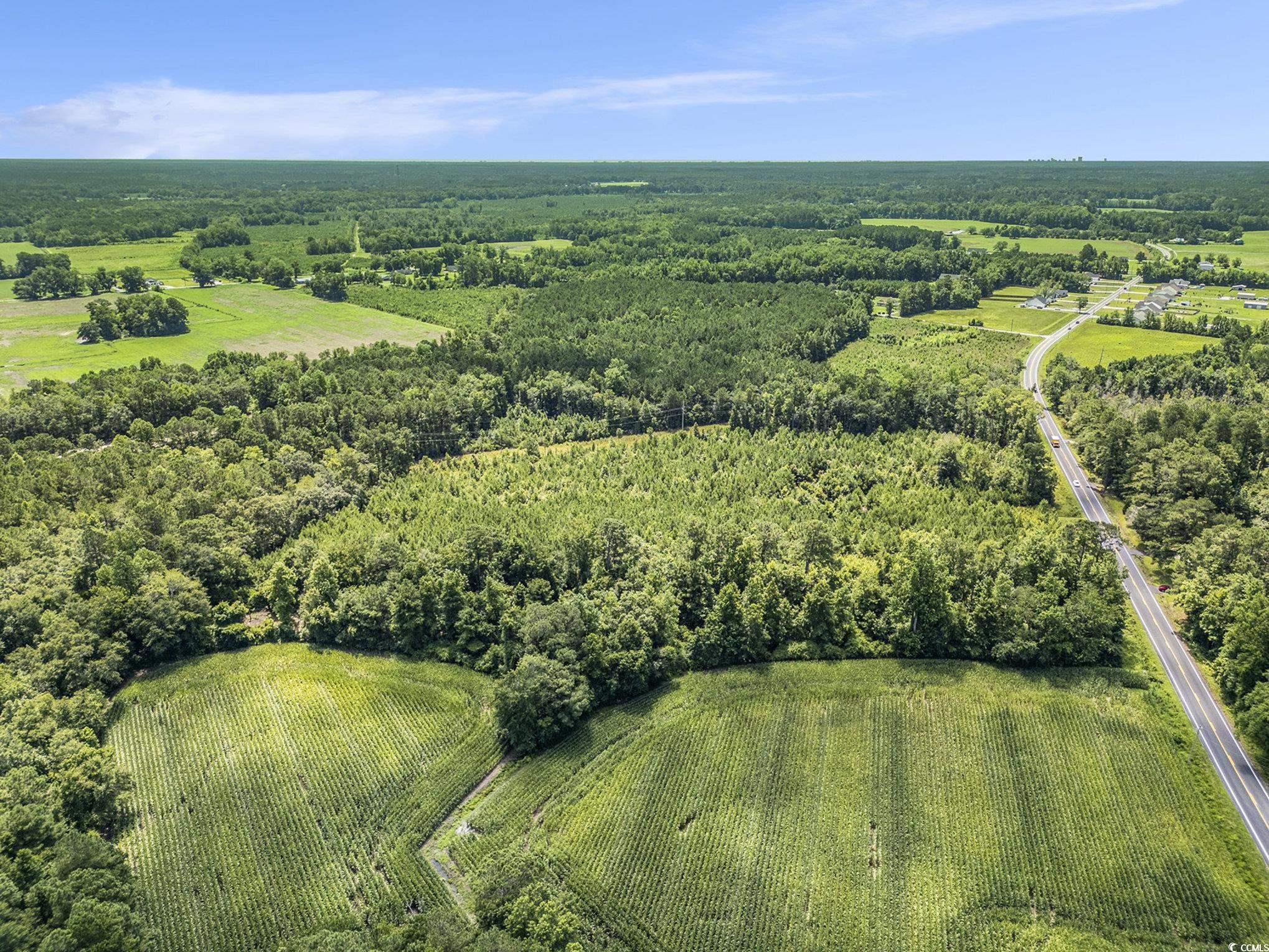 TBD Red Bluff Rd., Loris, South Carolina image 5