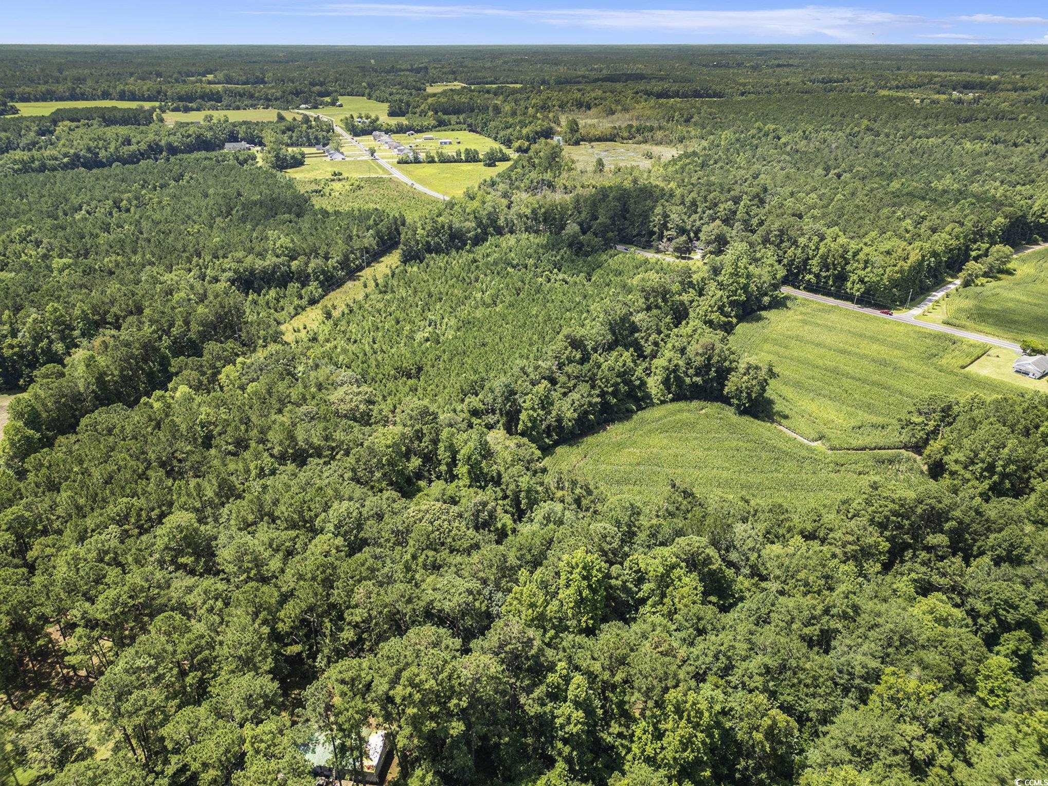 TBD Red Bluff Rd., Loris, South Carolina image 6