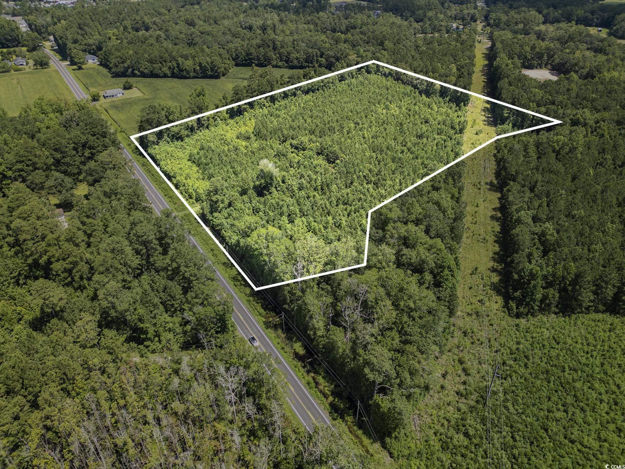 TBD Red Bluff Rd., Loris, South Carolina image 7
