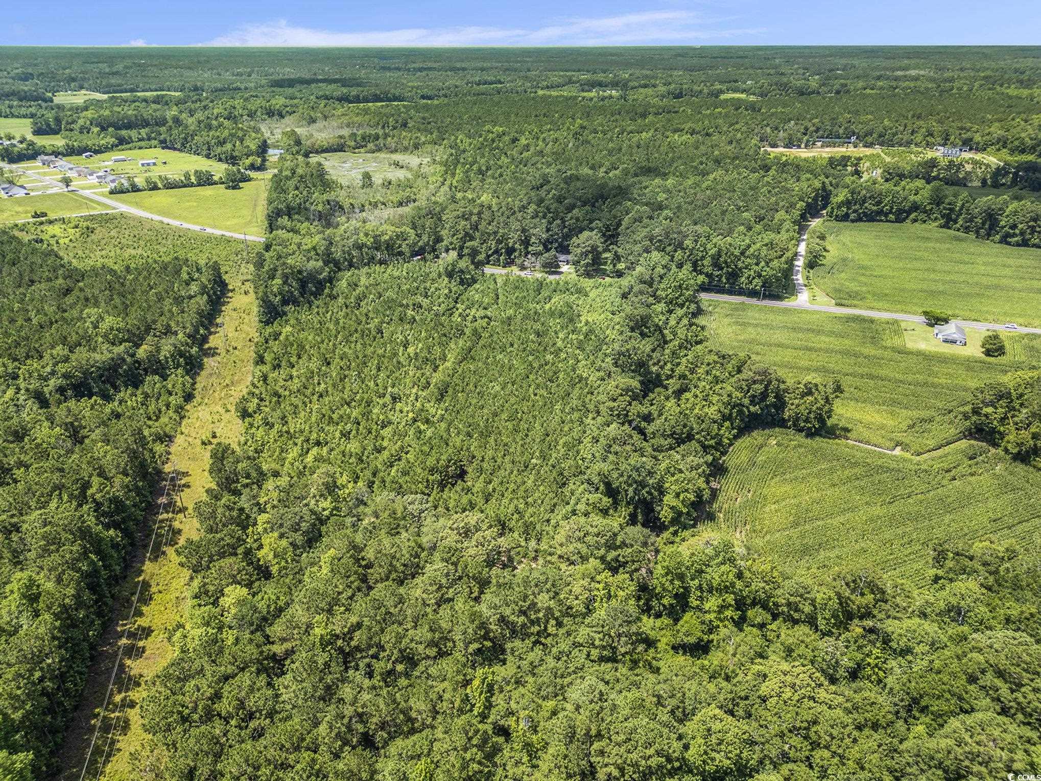 TBD Red Bluff Rd., Loris, South Carolina image 9