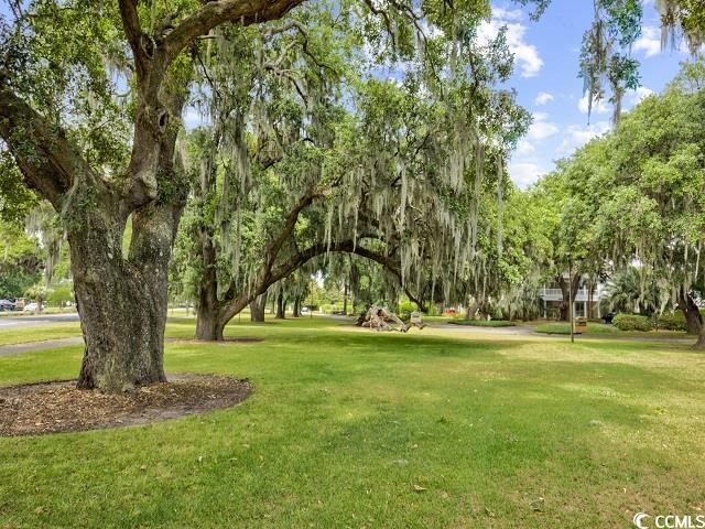 601 Retreat Beach Circle #125, Pawleys Island, South Carolina image 37