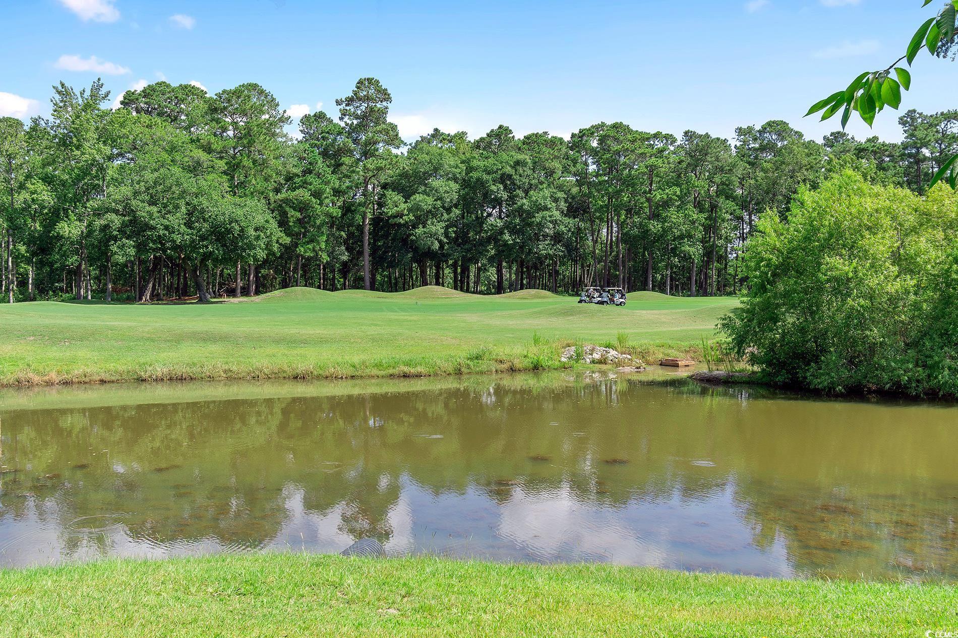 138 SW Ricemill Circle #2, Sunset Beach, North Carolina image 24