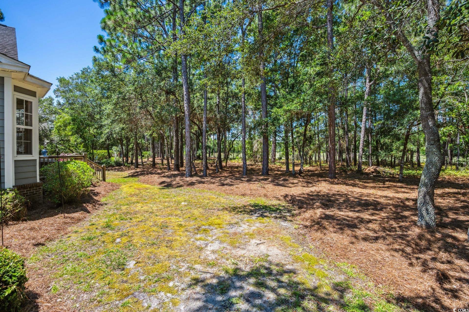 54 Bald Cypress Ct., Pawleys Island, South Carolina image 23