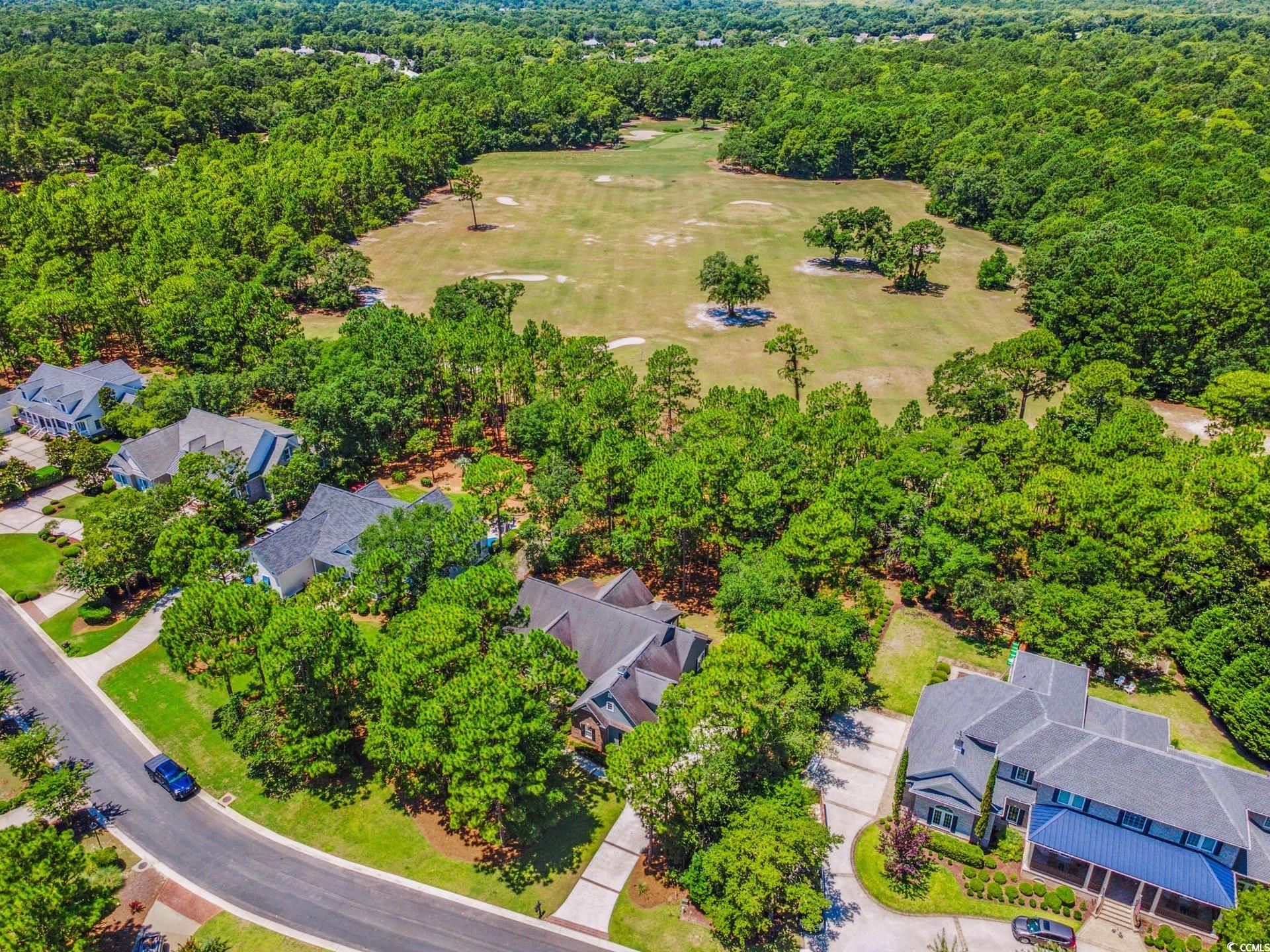 54 Bald Cypress Ct., Pawleys Island, South Carolina image 25