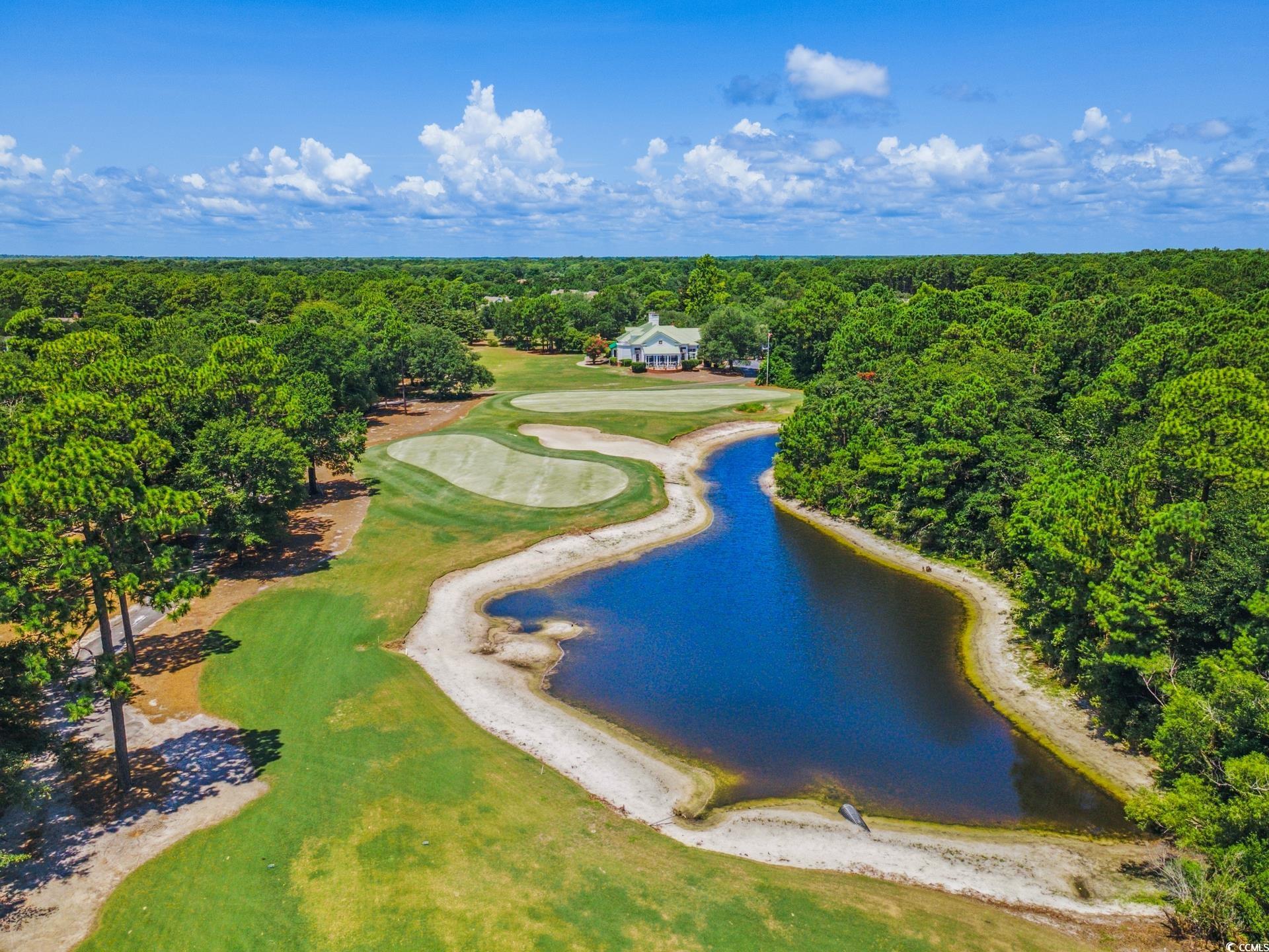 54 Bald Cypress Ct., Pawleys Island, South Carolina image 29