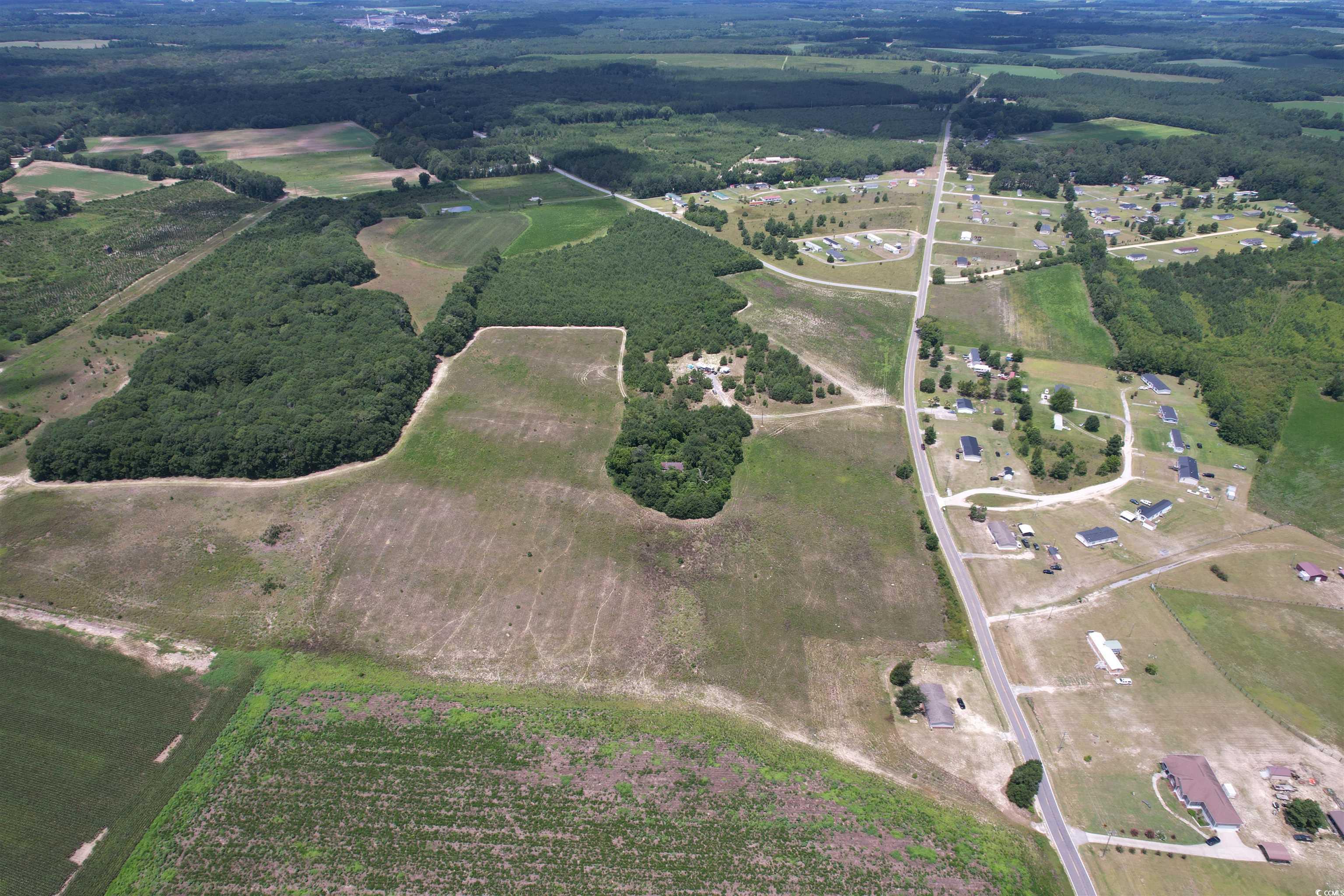 29.63 Acres - Society Hill Rd, Darlington, South Carolina image 2