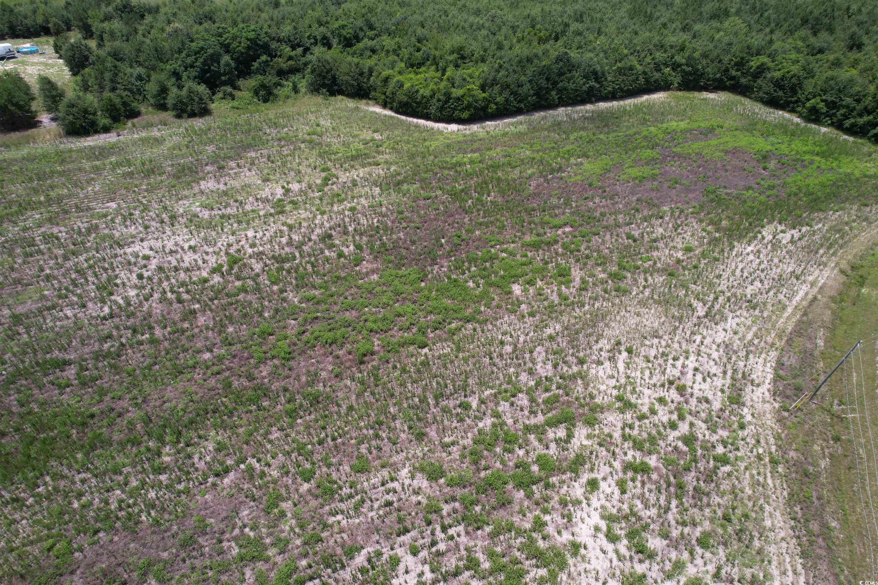 21.48 Acres - Harmony Hall Dr, Darlington, South Carolina image 2