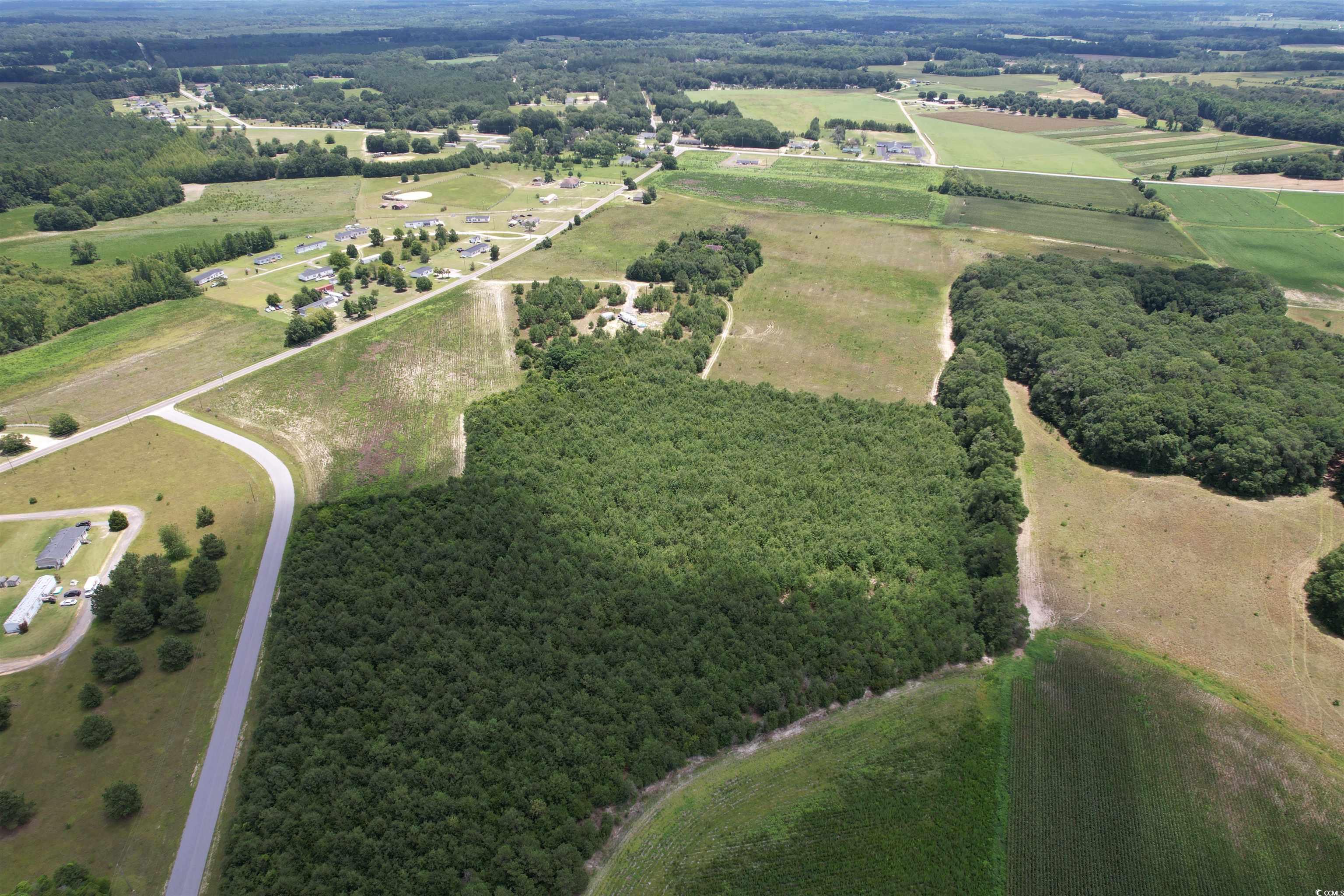 21.48 Acres - Harmony Hall Dr, Darlington, South Carolina image 4