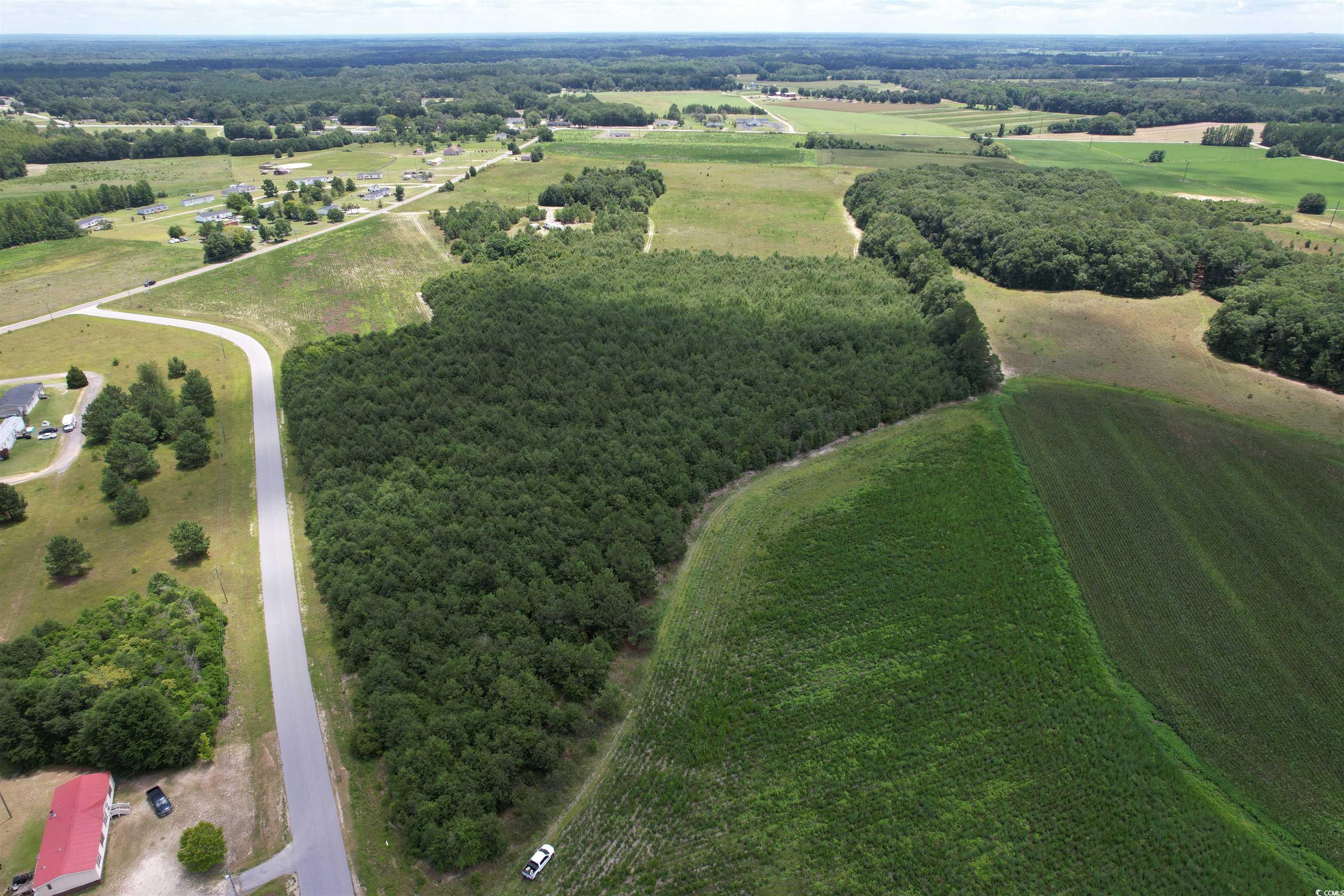 21.48 Acres - Harmony Hall Dr, Darlington, South Carolina image 5