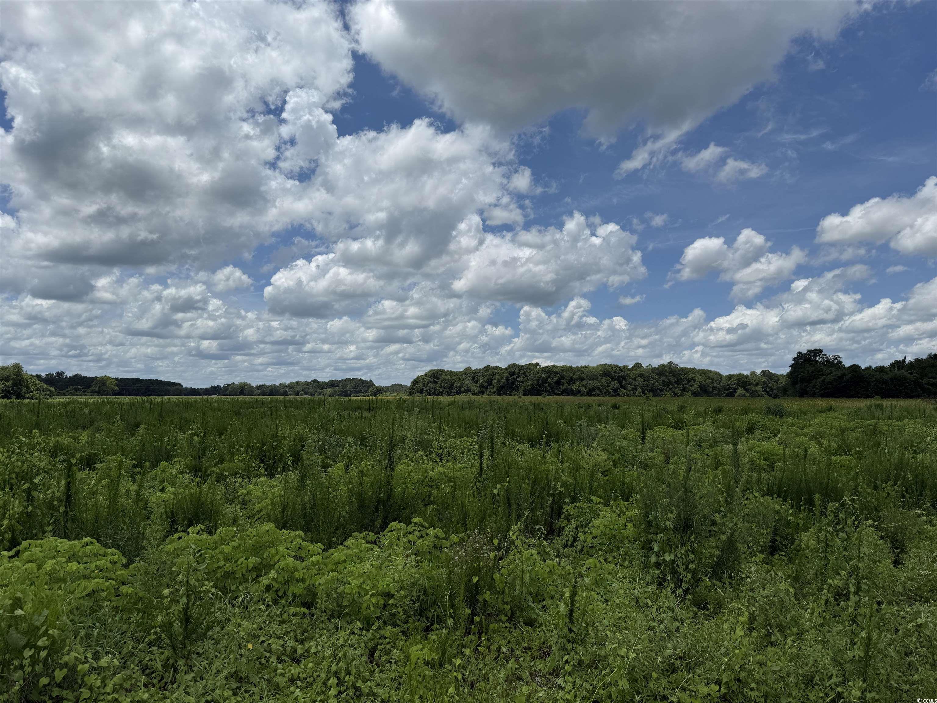 21.48 Acres - Harmony Hall Dr, Darlington, South Carolina image 7
