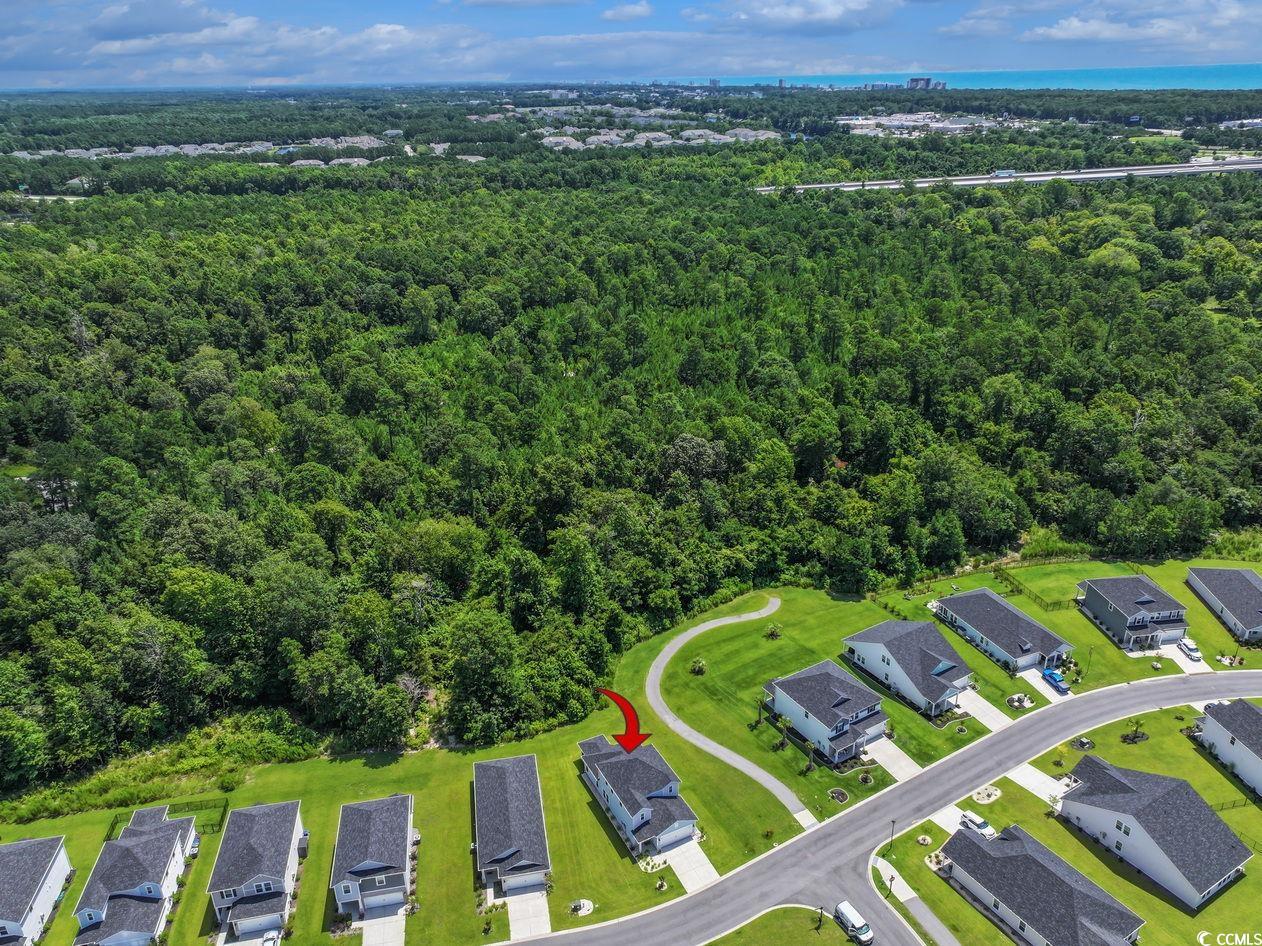 2501 Copper Creek Loop, Longs, South Carolina image 38