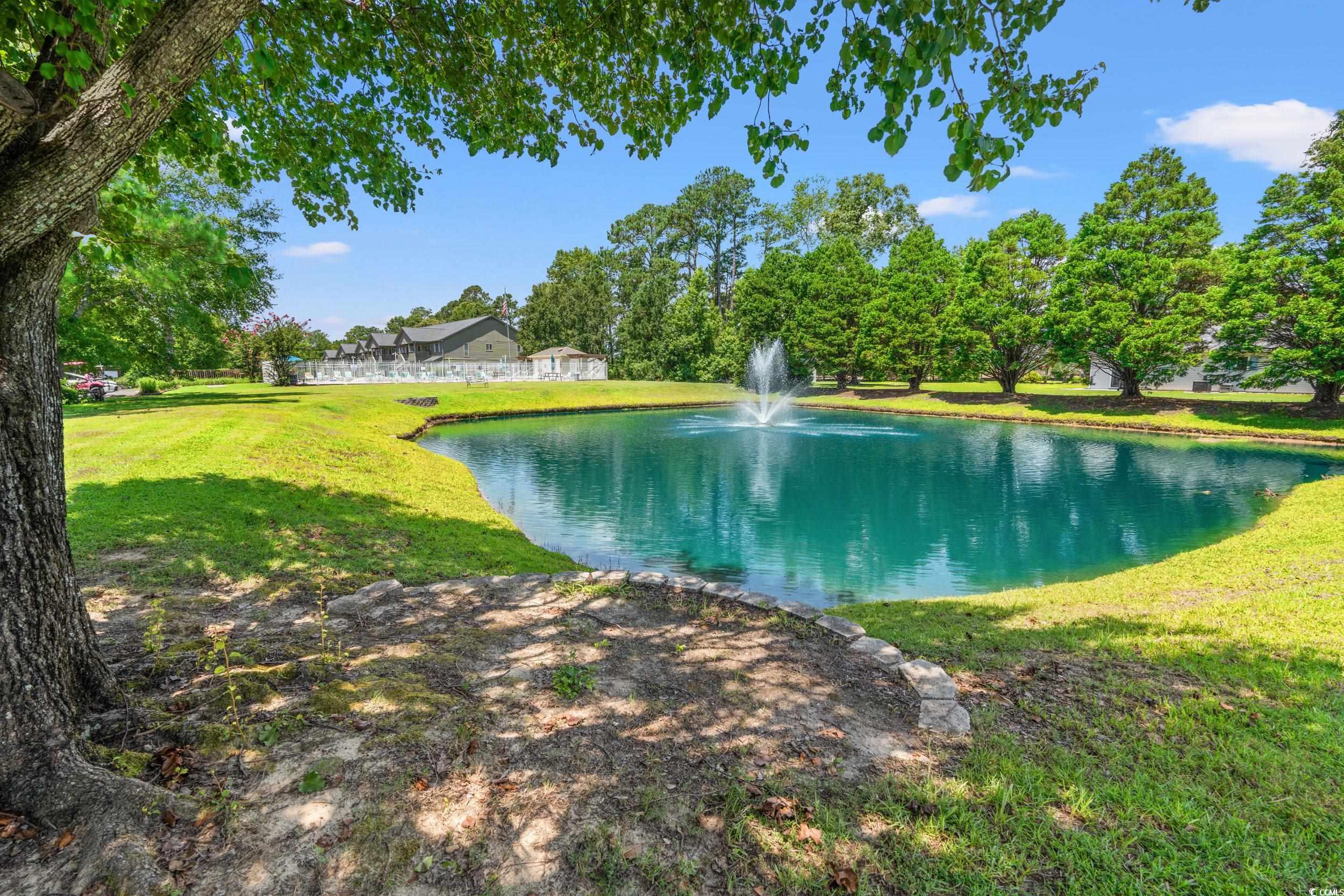 1226 Formby Ct., Myrtle Beach, South Carolina image 37