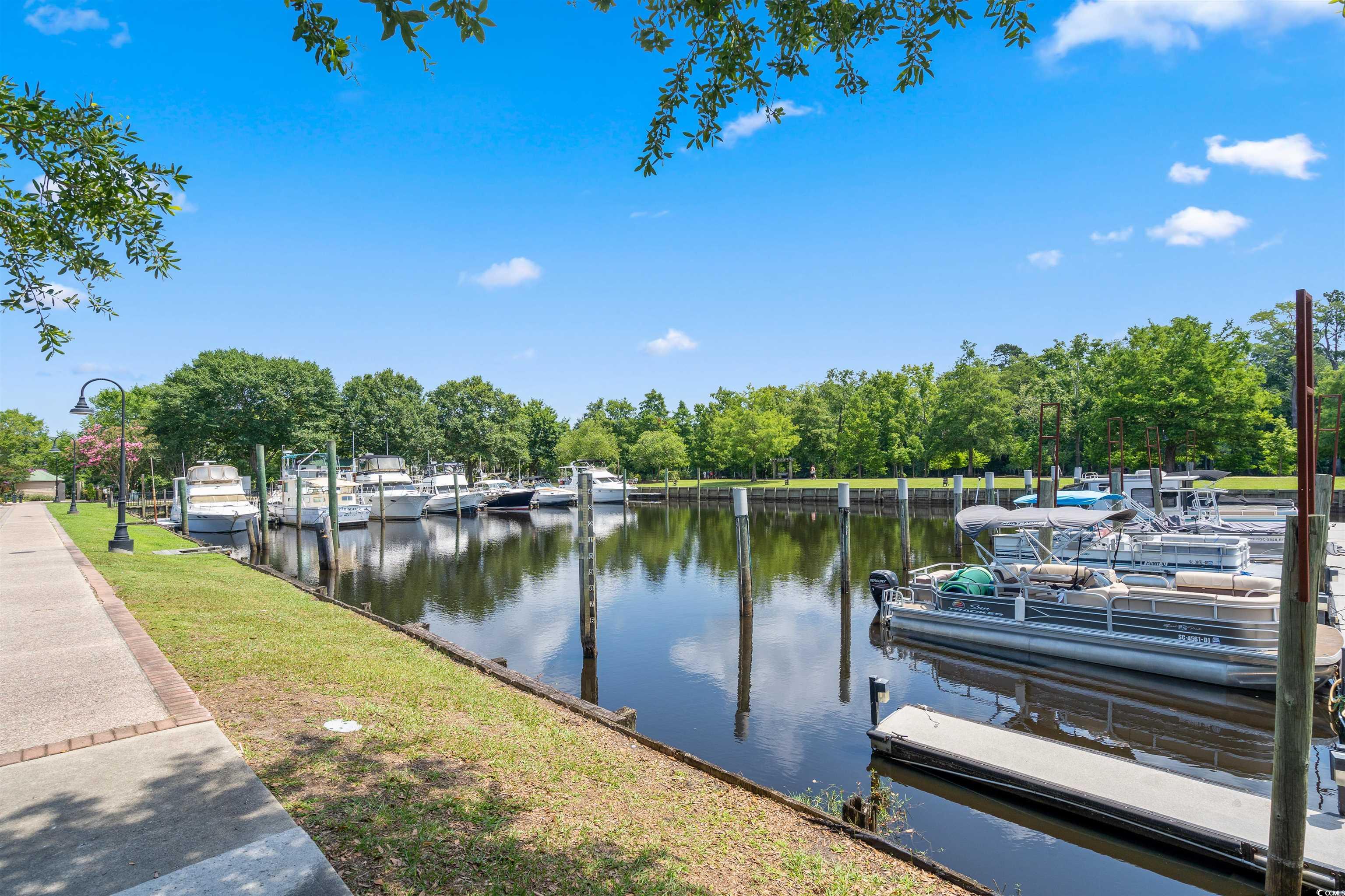 2485 Campton Loop, Conway, South Carolina image 38