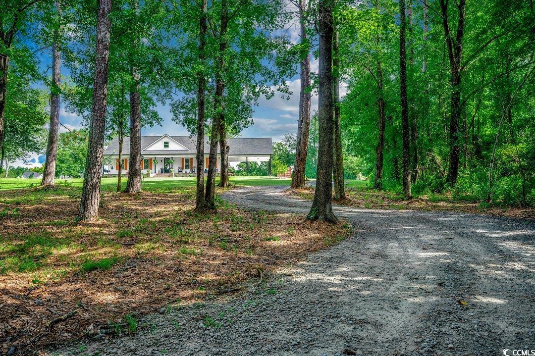 3555 Marsden Rd., Aynor, South Carolina image 2