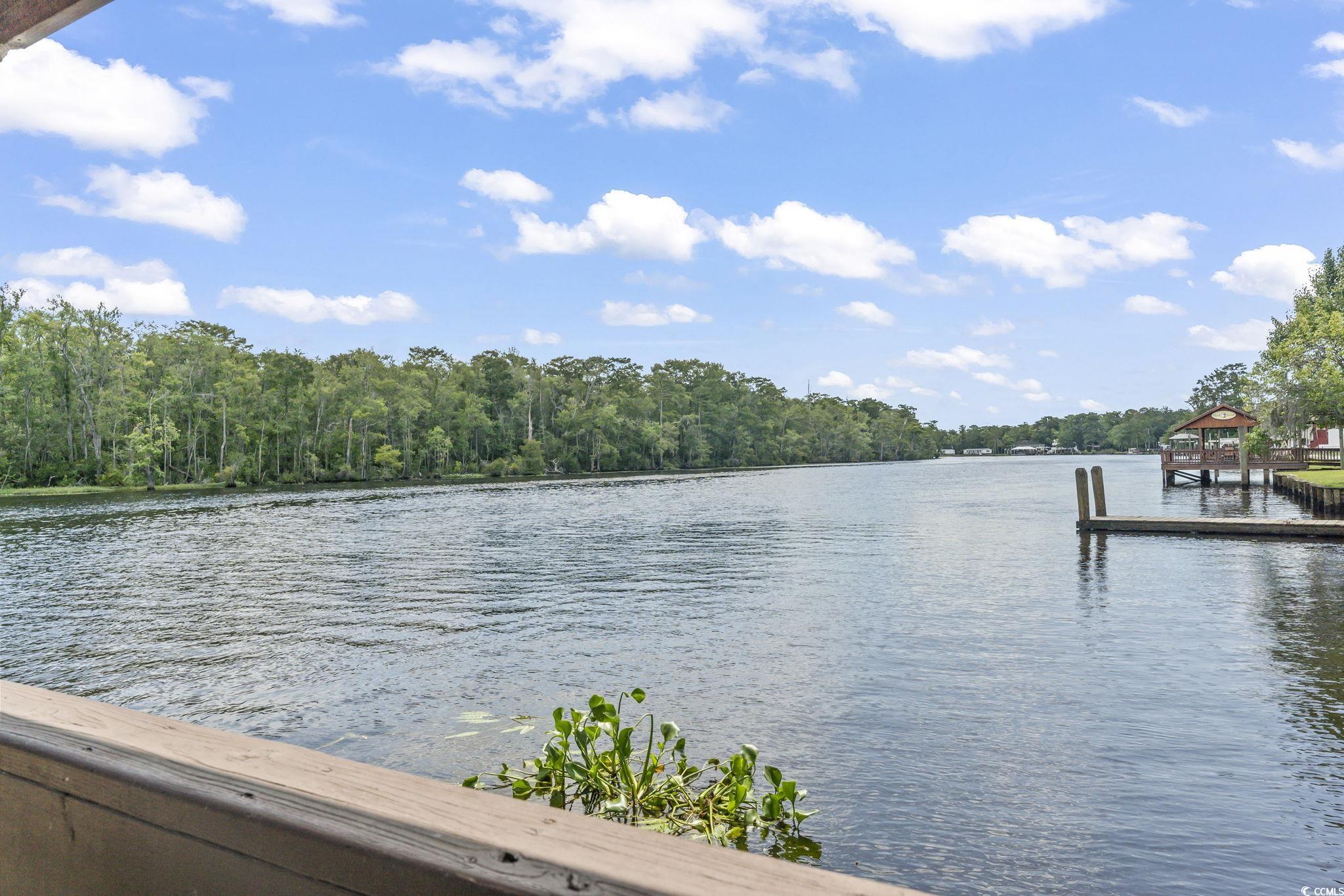 478 Riverfront Rd., Conway, South Carolina image 29