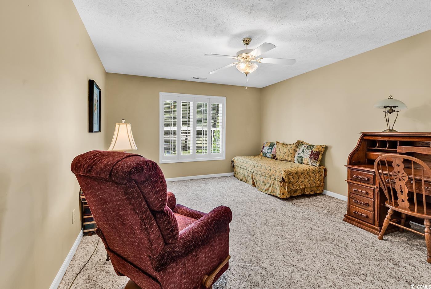 598 Rum Gully Rd., Murrells Inlet, South Carolina image 21